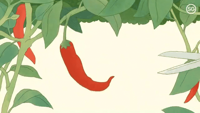 Singapore Tourism x The New Yorker