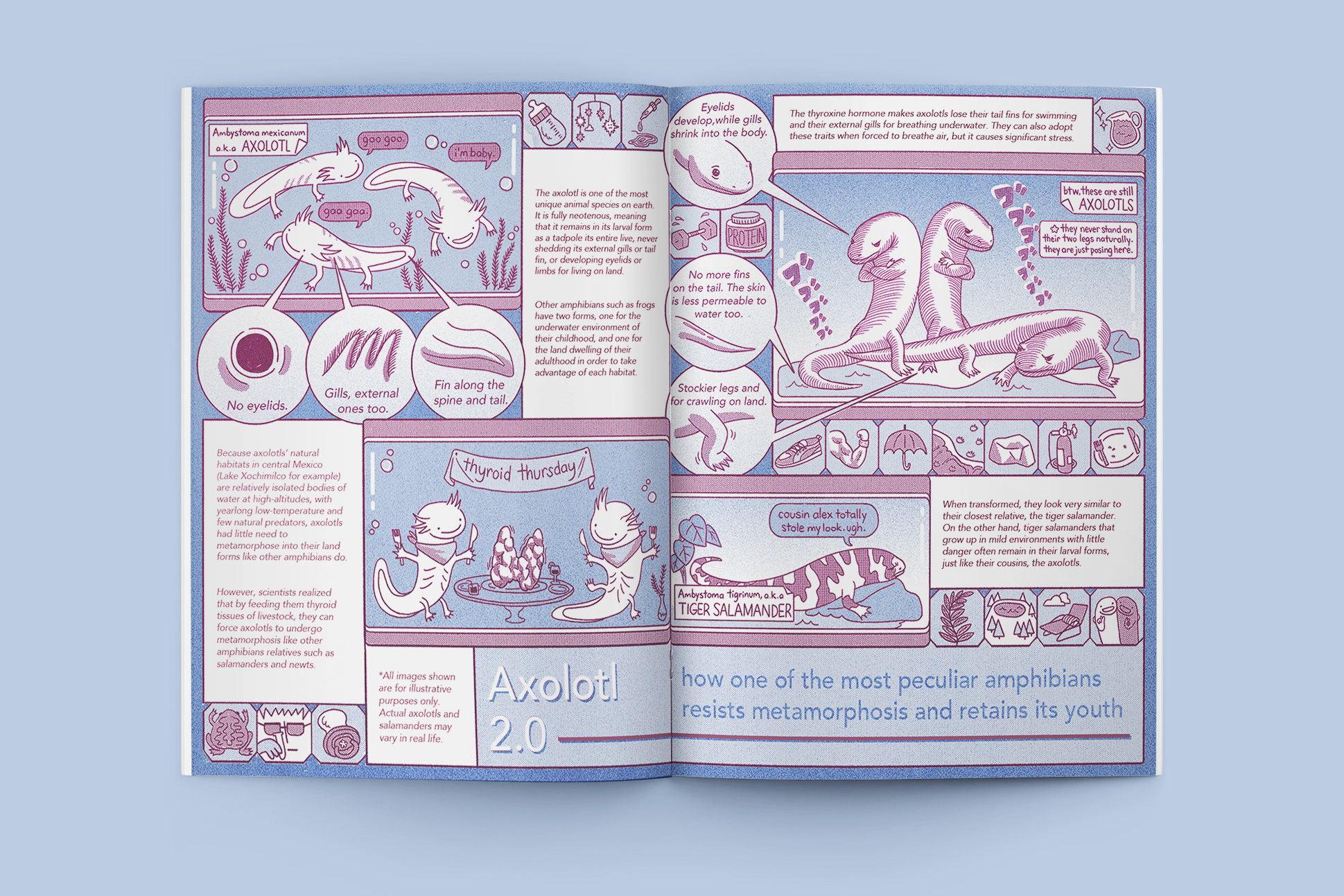 template by user17882893 on Freepik