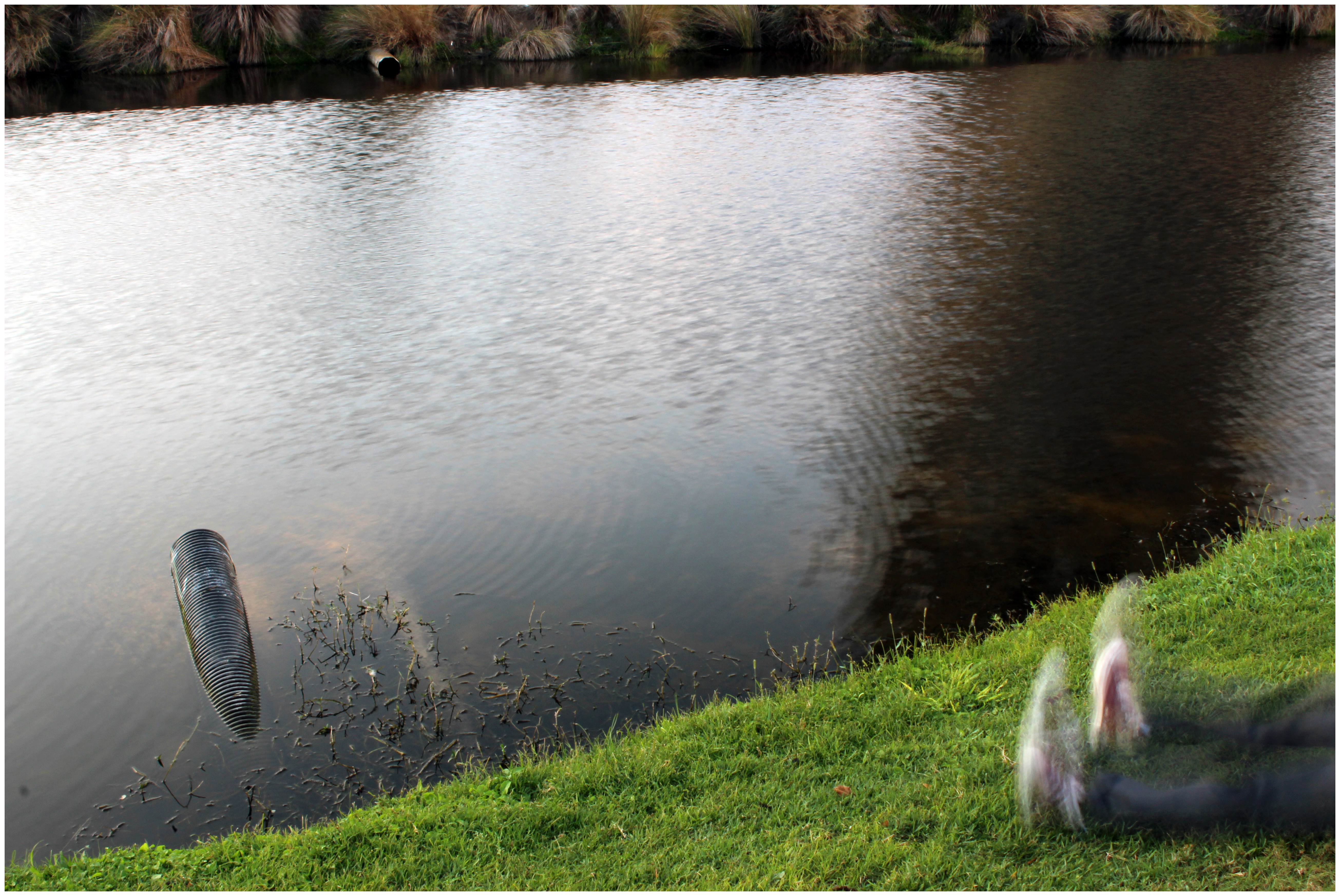 The Stork's Breeding Cycle, 2013DSLR image72 x 48 in.182.88 x 121.92 cm