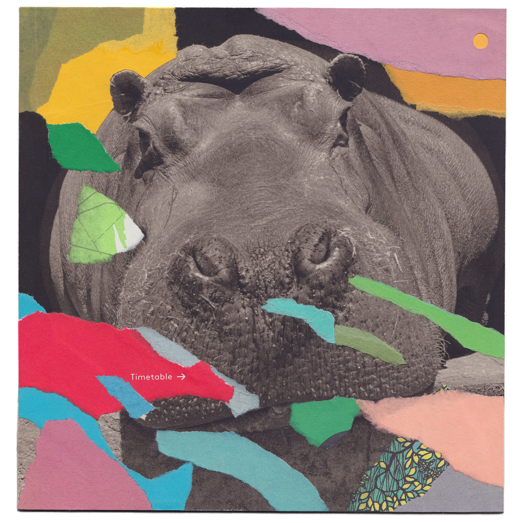 Timetable ︎︎︎