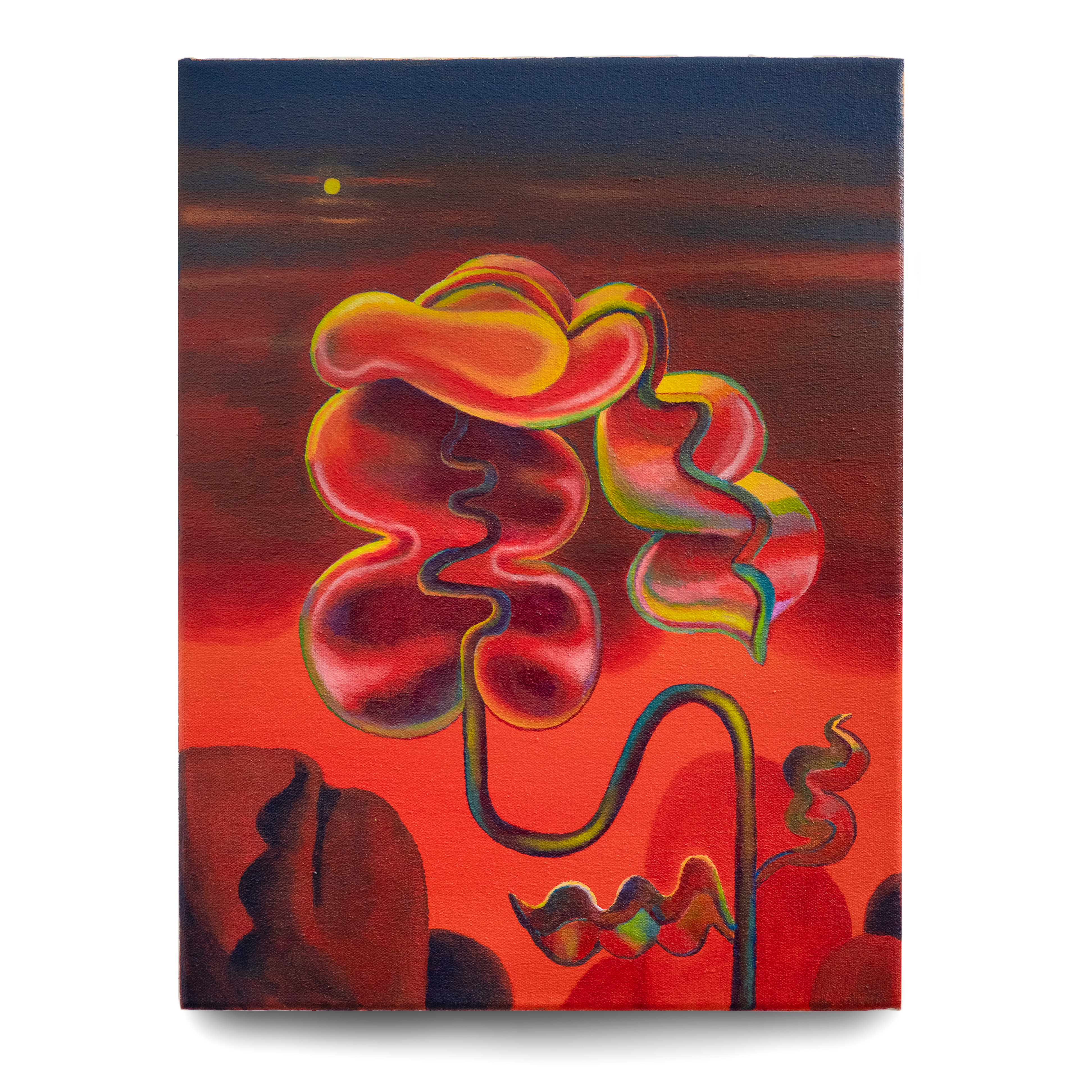 Hot Springs, 2021, acrylic on canvas, 16 x 14 inches