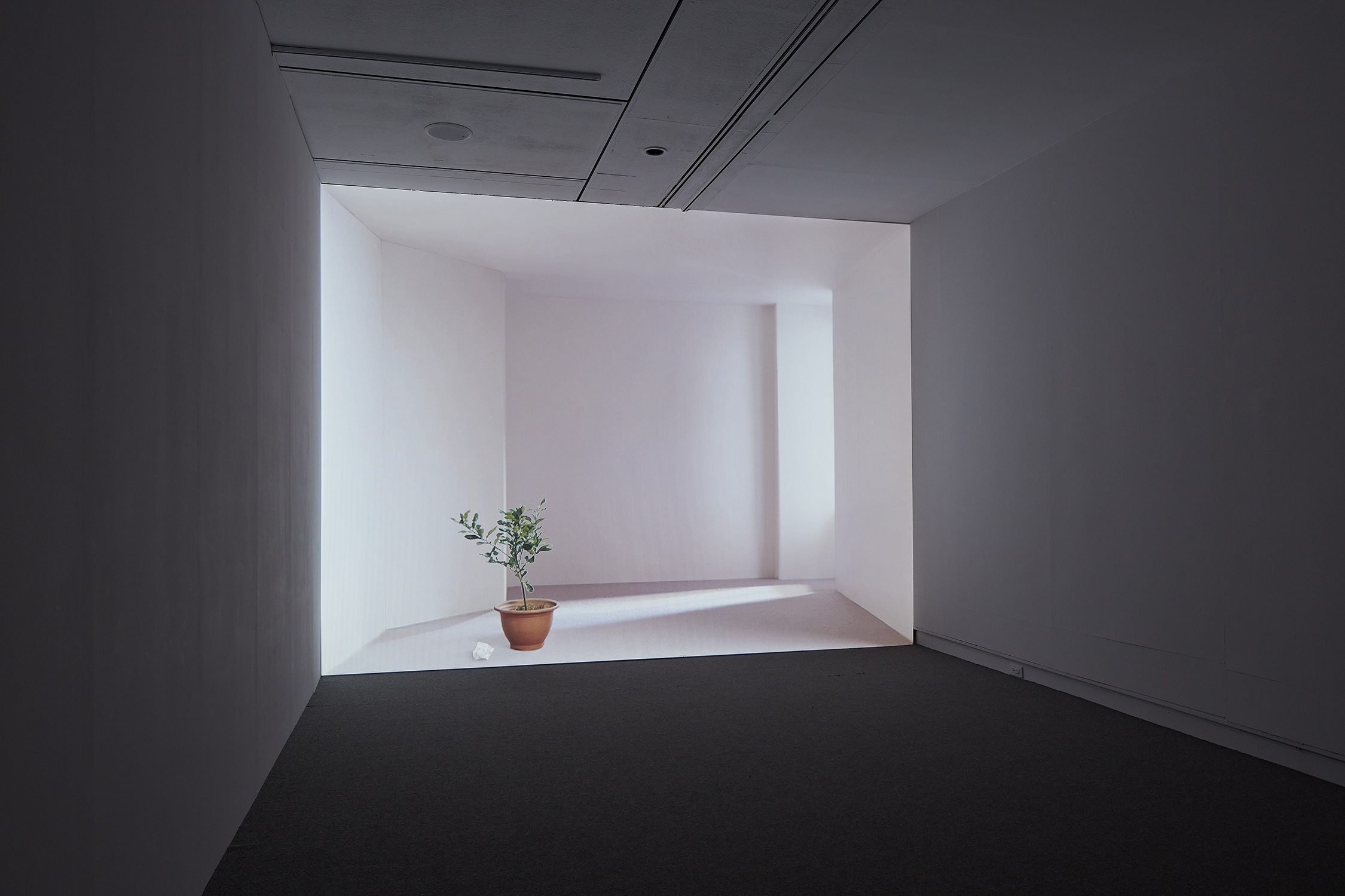 2017「空間行板」，臺北市立美術館 “A Space Andante: Selected Work”, Taipei Fine Arts Museum