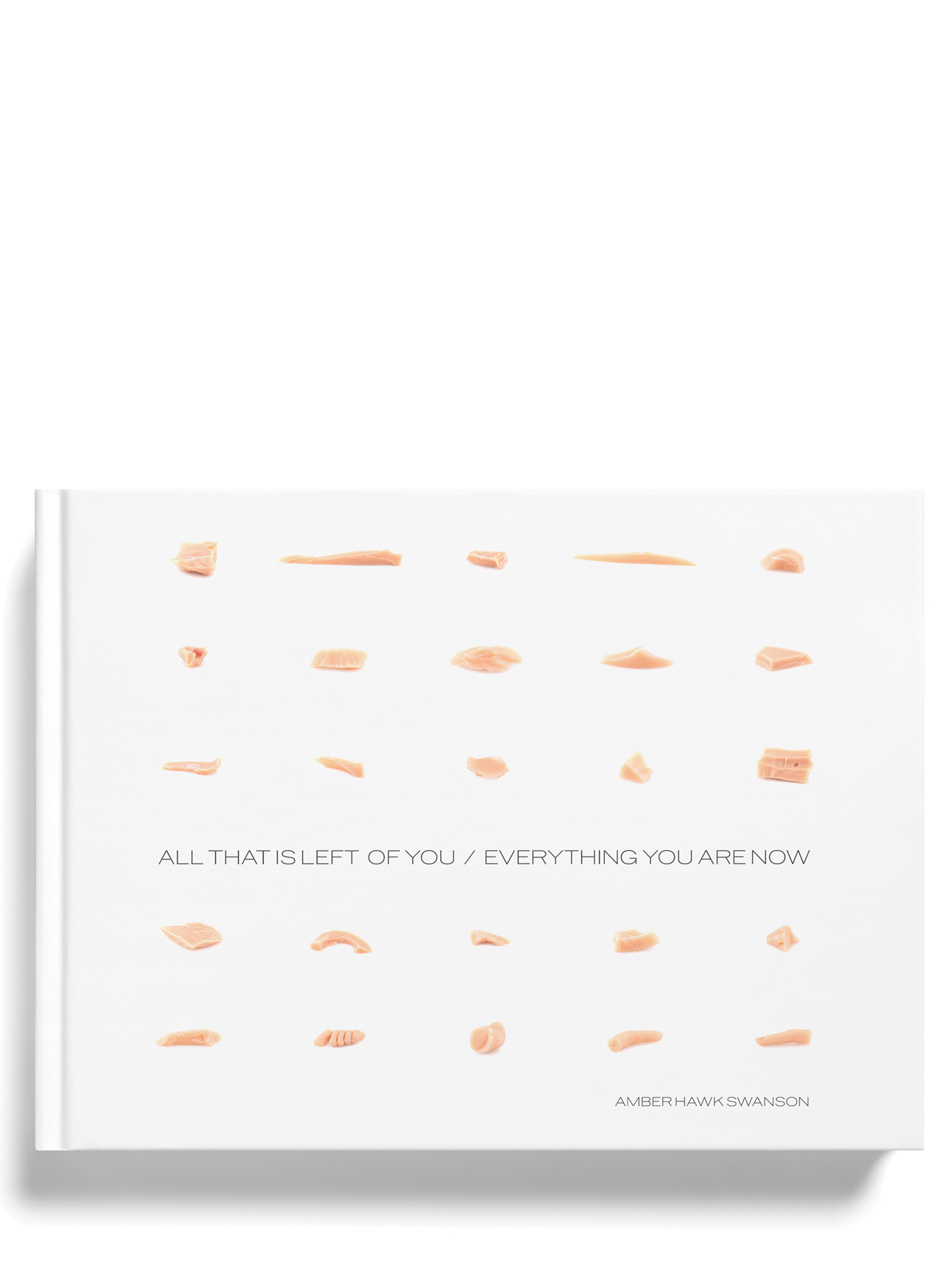 Hawk Swanson, Amber. All That is Left of You / Everything You Are Now [BOLT Gallery, Chicago, IL: 17 Aug.–6 Sep. 2012] (Amber Hawk Swanson, 2012). Exh. cat. 