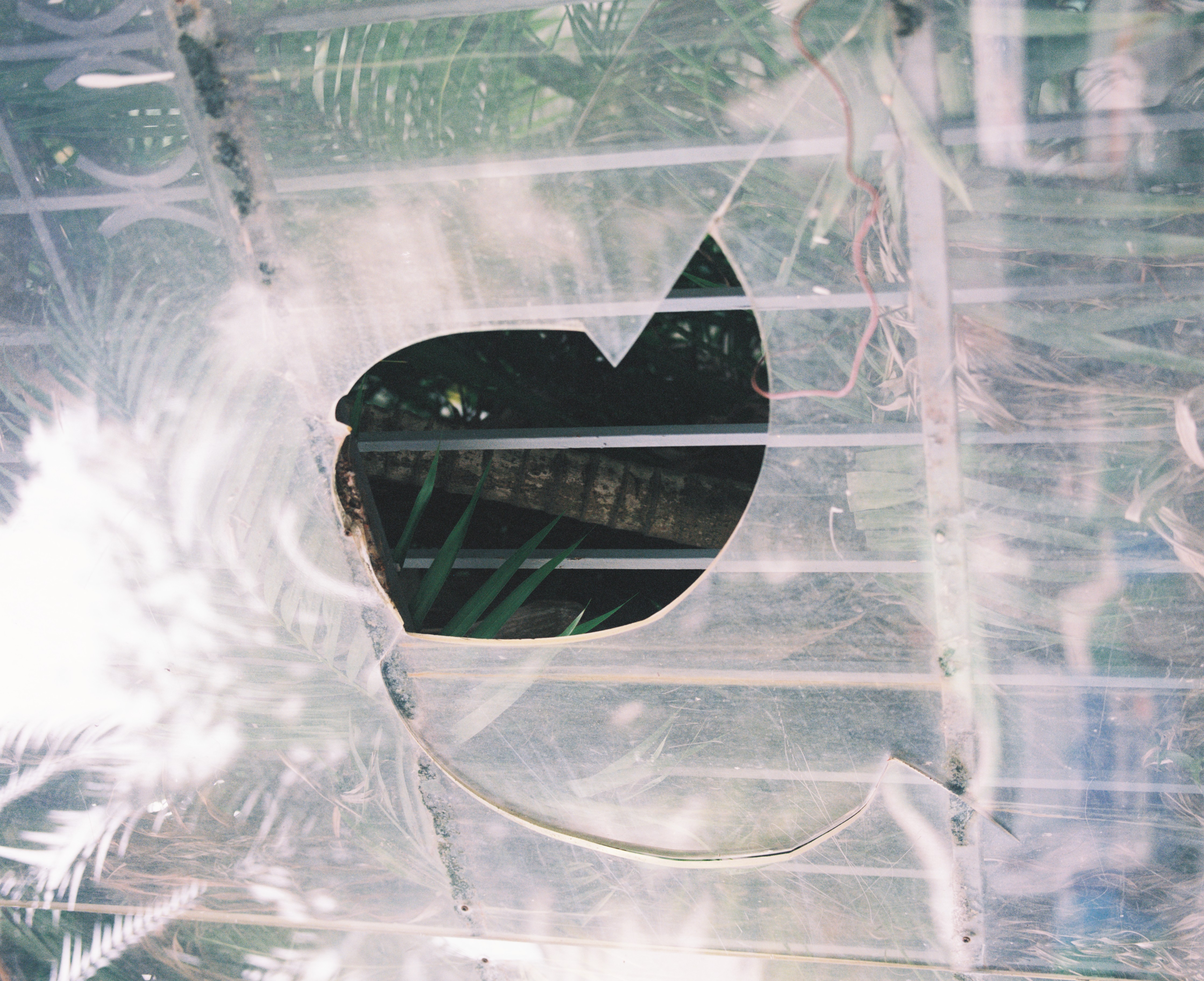 day 25 - 8:11 am I first visited Hanoi around this time four years ago. A lot has happened since then, but maybe not much new