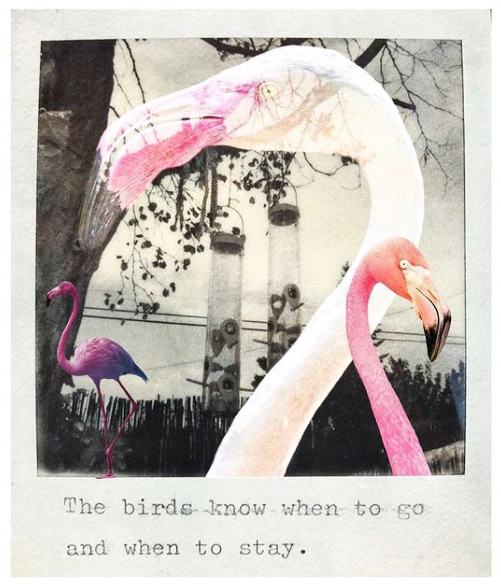 sites.seenphotography