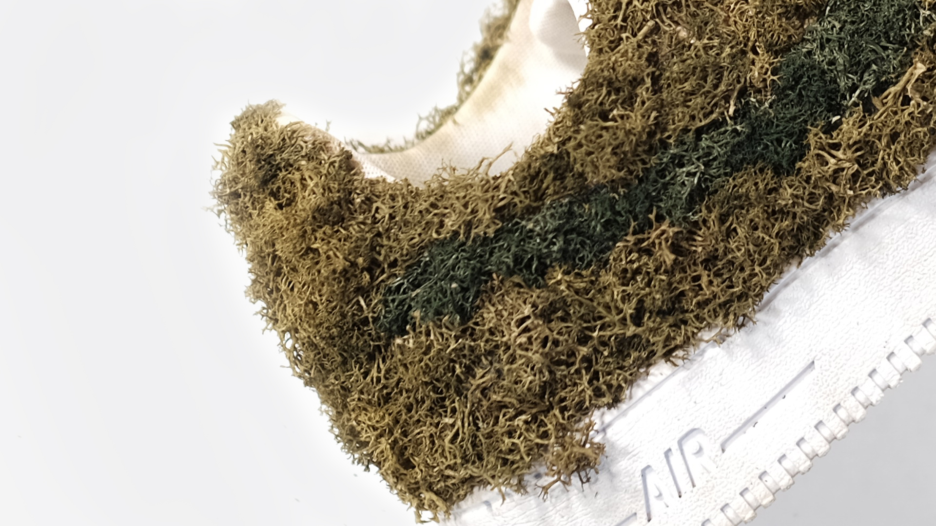 Moss surface texture close-up.