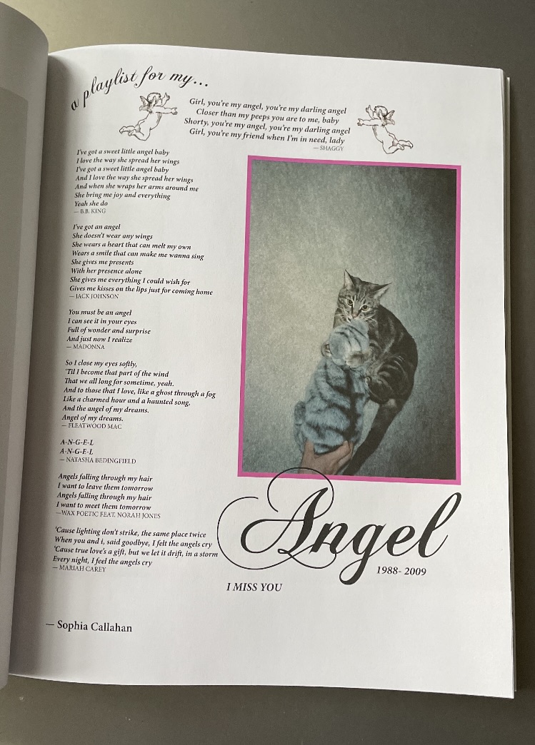 "Angel," in Cat Report 3, 2022