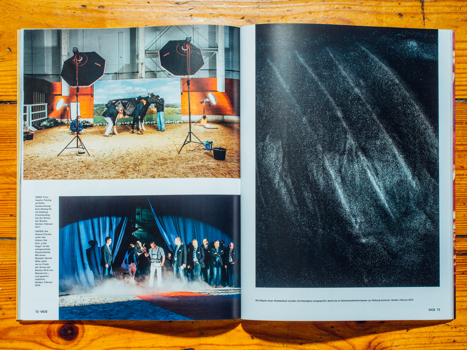 VICE / Hornless Heritage Serie als Coverstory, Juli 2017