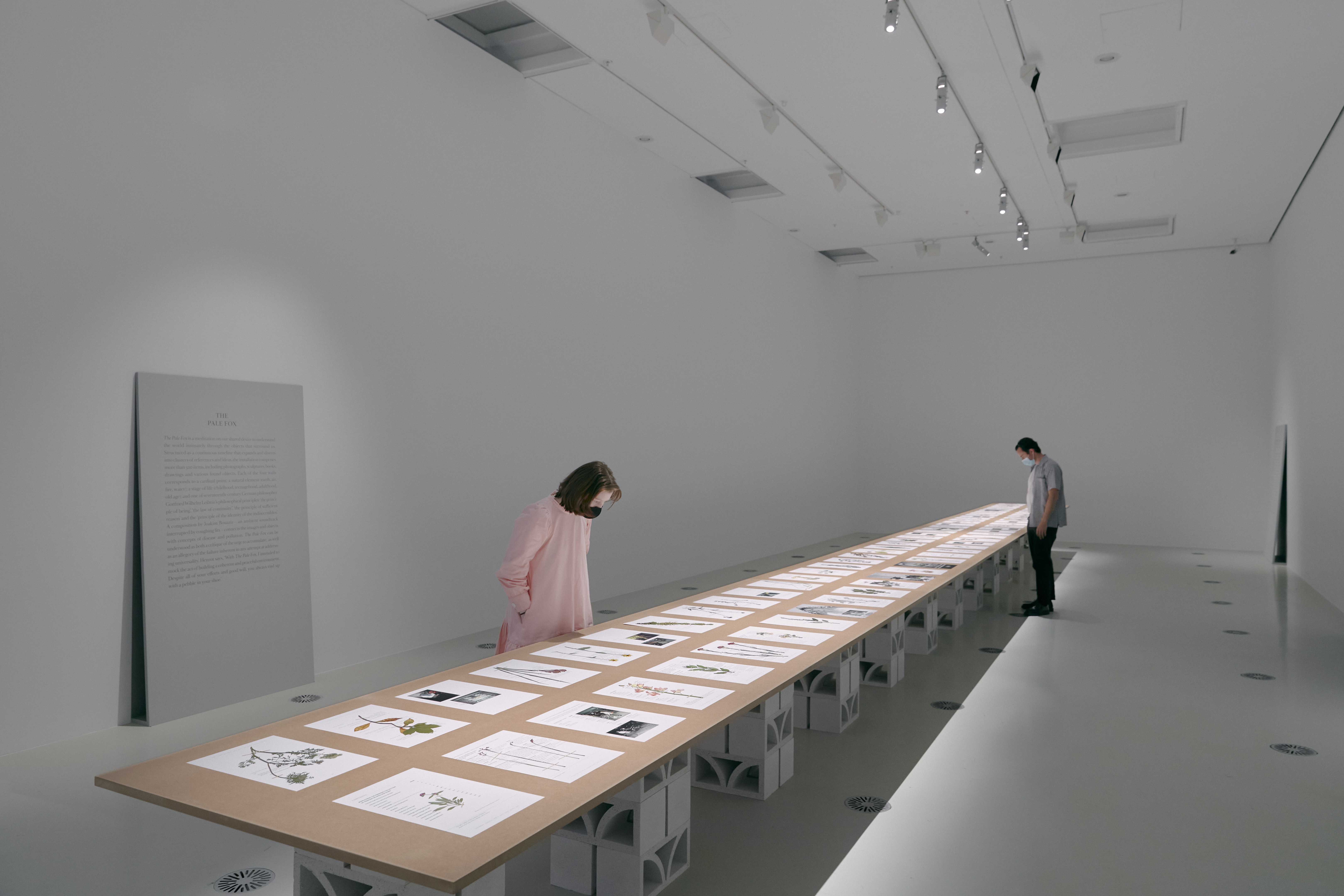 Exhibition graphic design for ‘Camille Henrot : Is today tomorrow’, National Gallery of Victoria, 2021. 