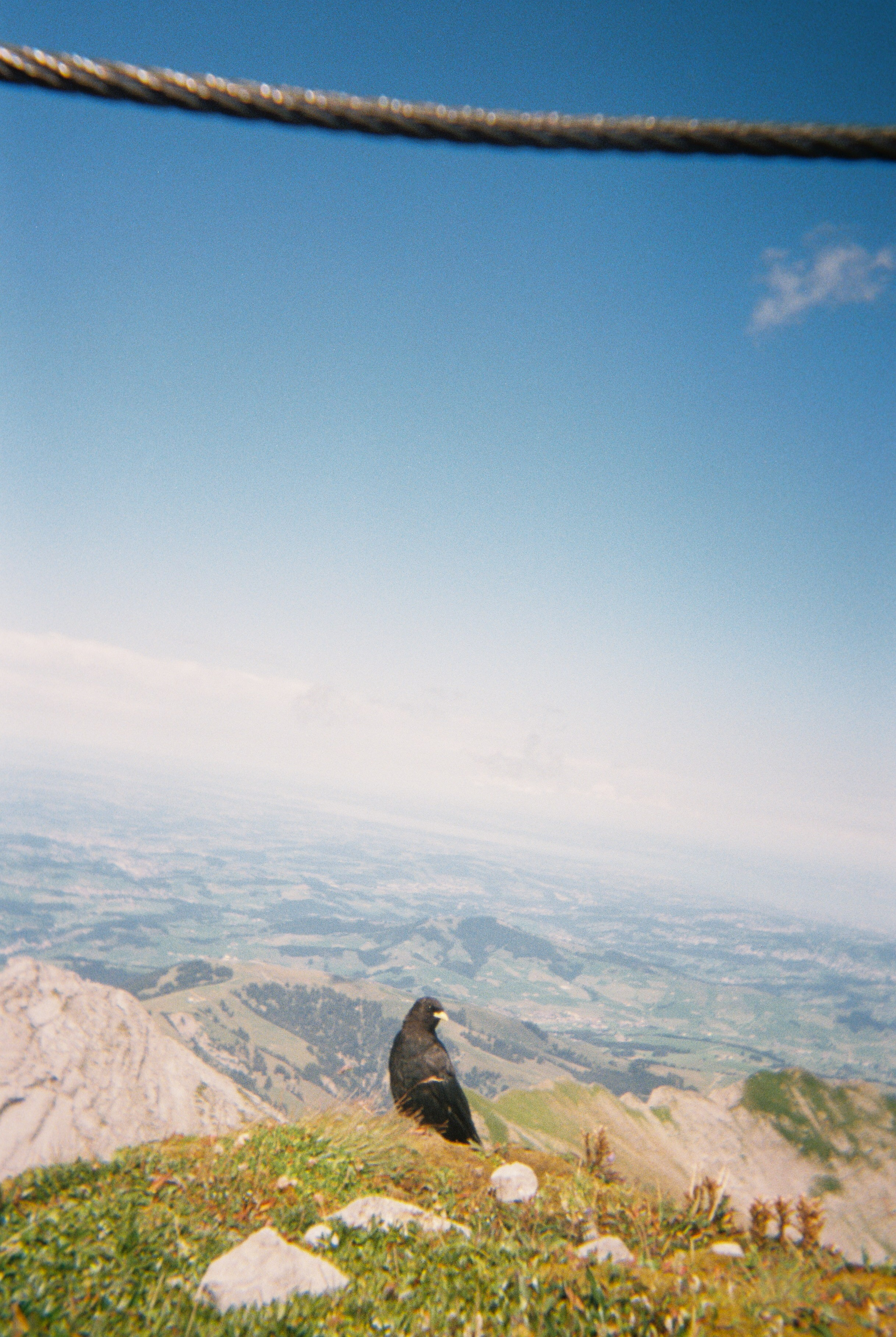 On top of Säntis, 2024. Film photograph, Matilde Igual