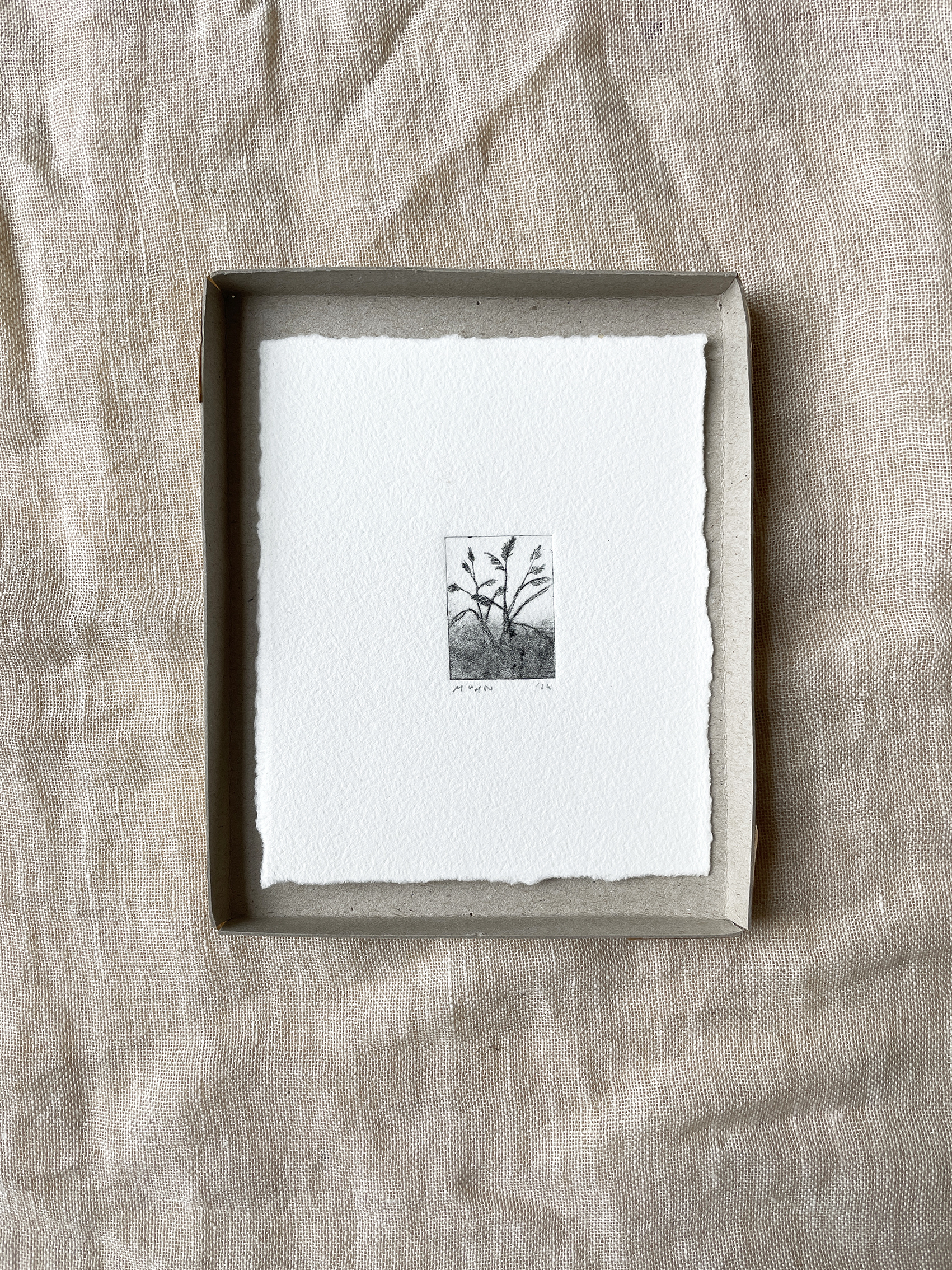 ets 'grasjes in mist' / Maartje / 35,-