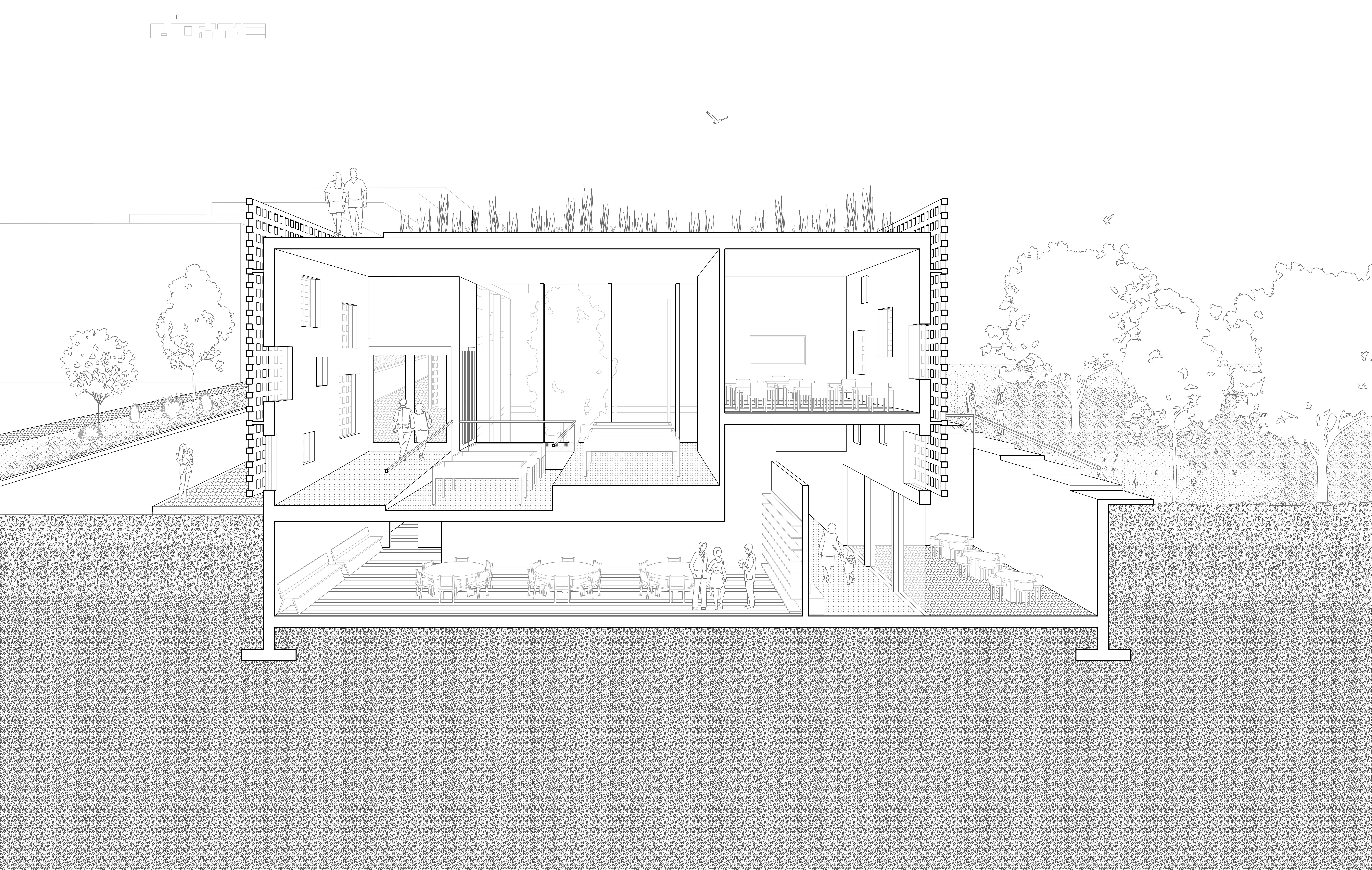 Section Perspective