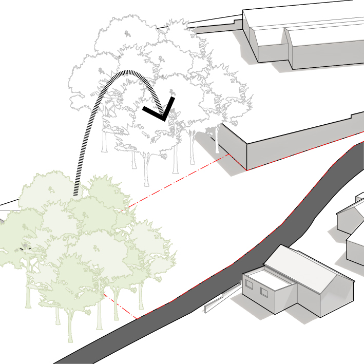 1. Transplant existing trees