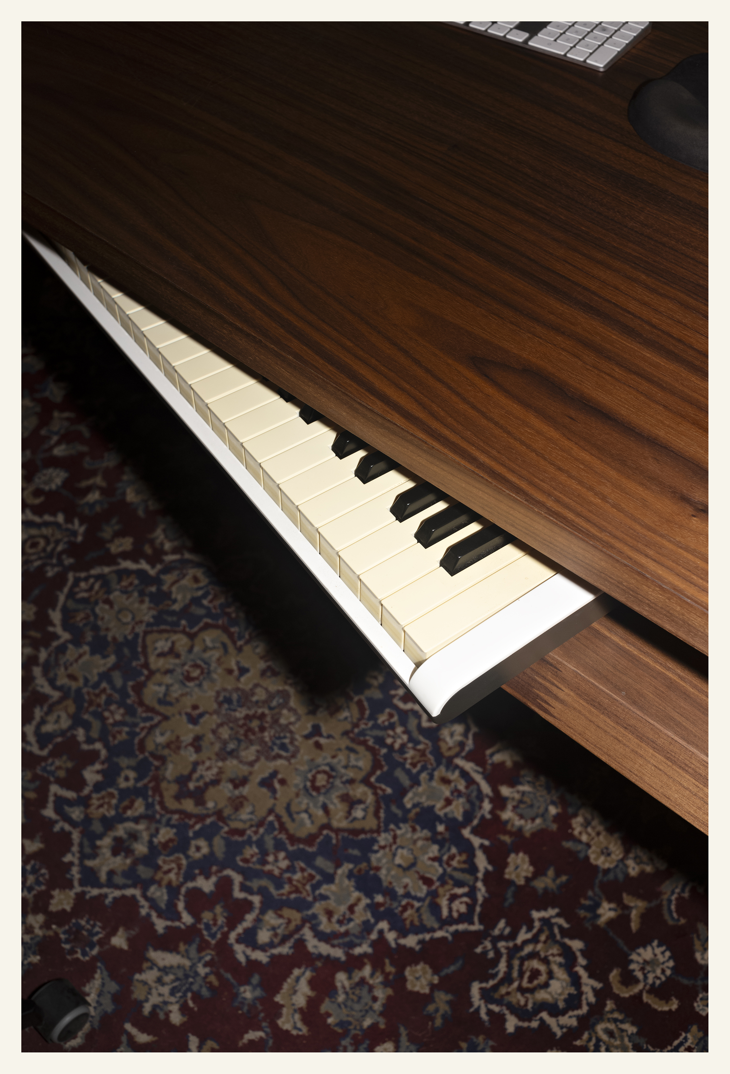 254Forest - Lifestyle, 2024