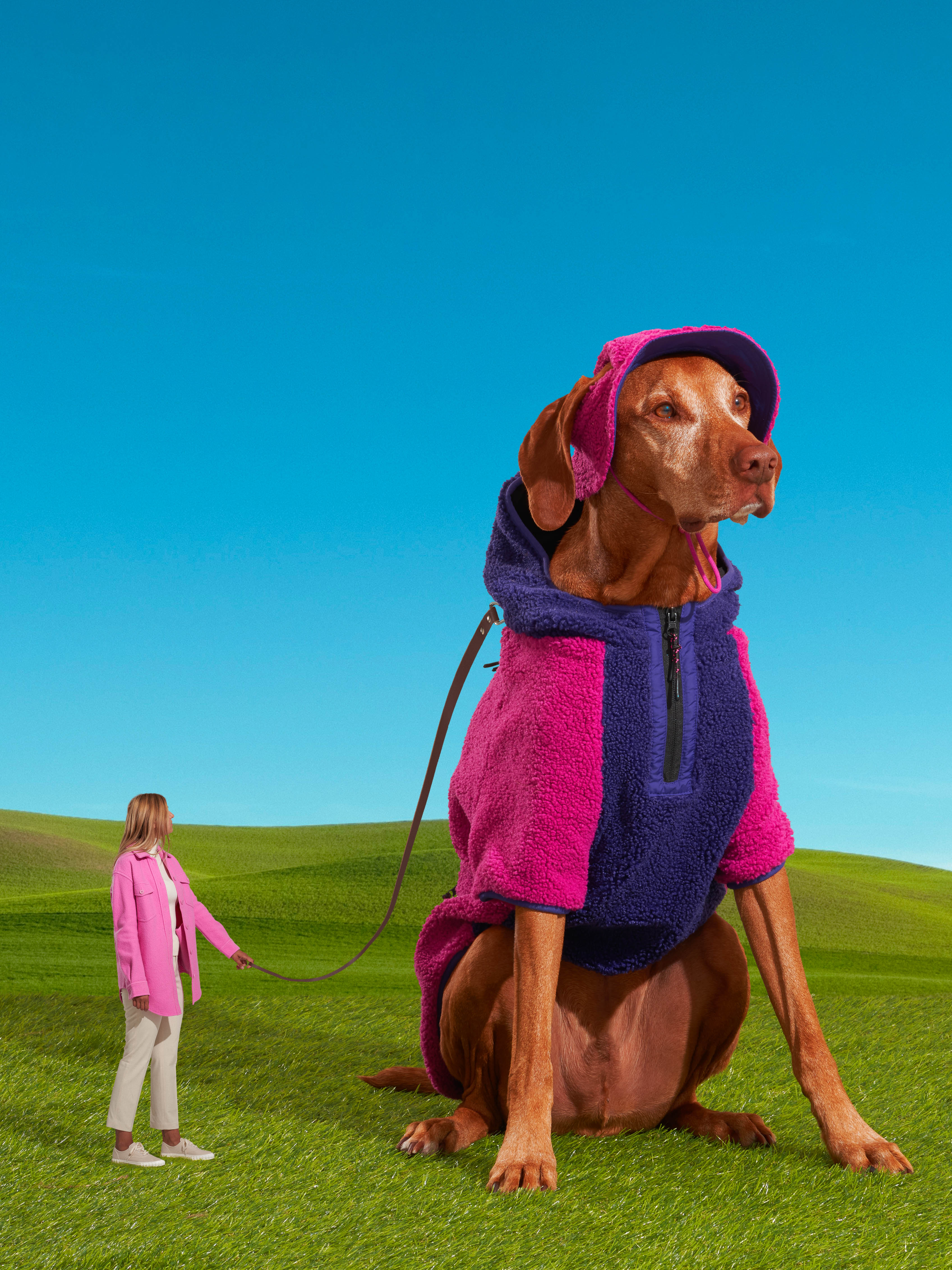 rob mag: top growing companies