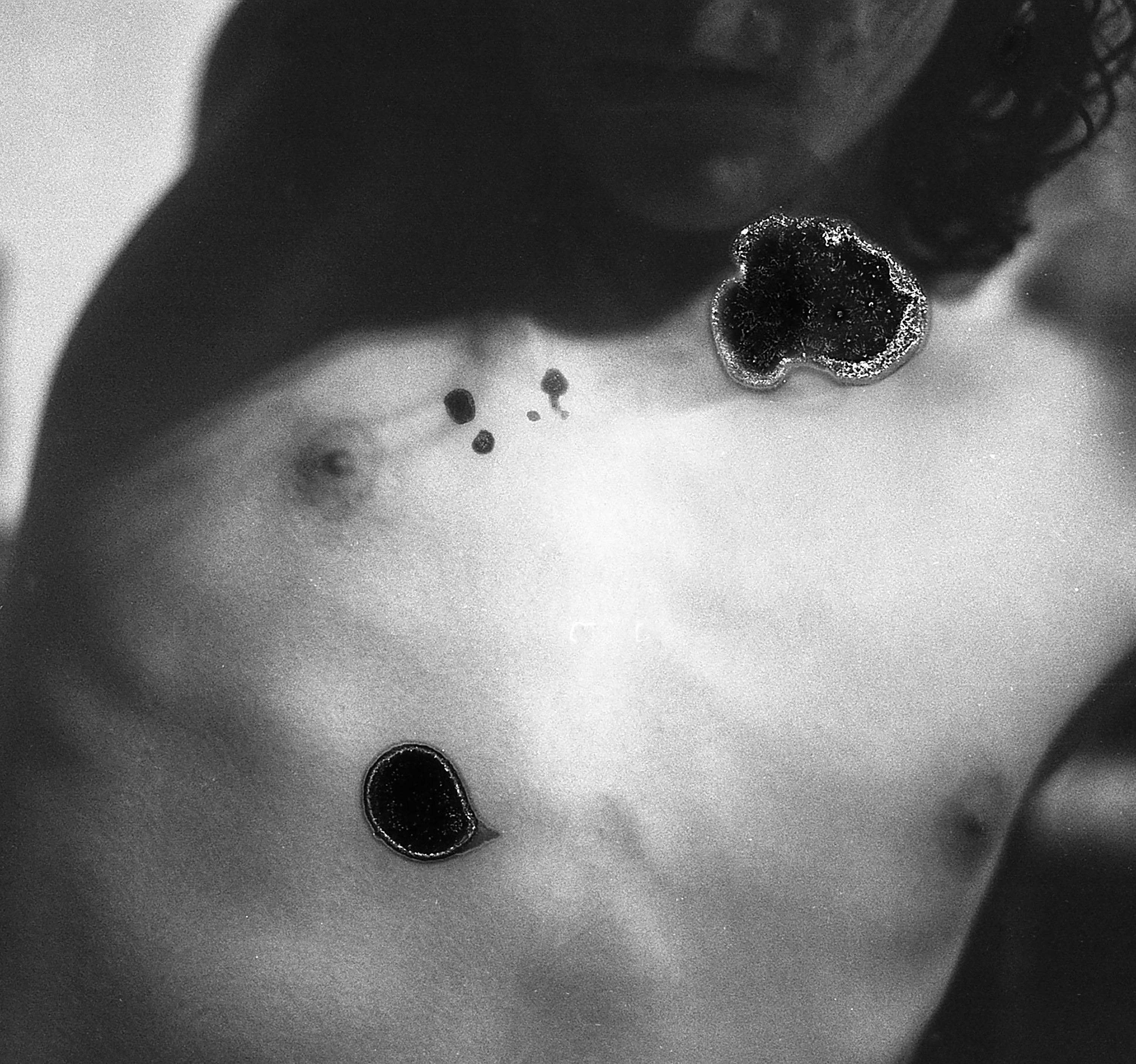 Grace Martella, Self-portrait, 2021, Stampa inkjet, cm 40x42