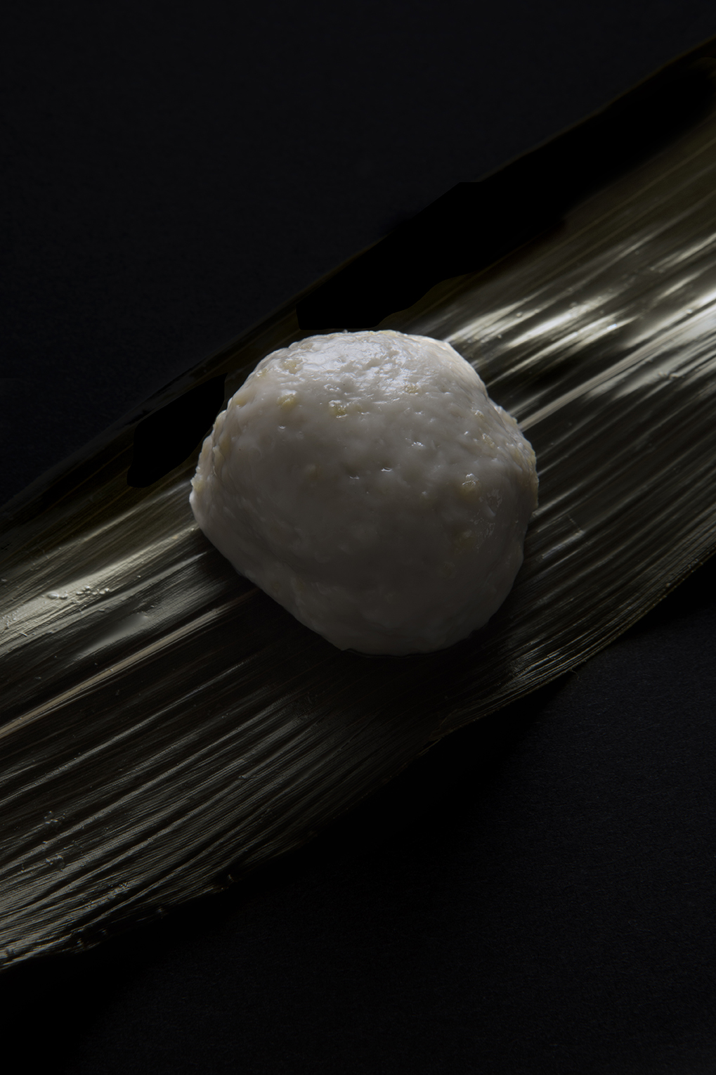 PHOTOGRAPHY RAF STUDIO for FU KYOTO VILLA KUJOYAMA