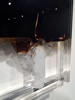 3/4 — OIL AND WATER  6/2 (48 oz. Texas Crude Oil, 16 oz. Illinois Tap Water, remnants of single-use plastic shopping bag).5/3 (40 oz. Texas Crude Oil, 24 oz. Illinois Tap Water, remnants of single-use plastic shopping bag).7/1 (56 oz. Texas Crude Oil, 1 oz. Illinois Tap Water, remnants of single-use plastic shopping bag).Installation view of the project; crude oil, tap water, single-use plastic shopping bags, custom fabricated liquid-tight acrylic; all individual works are 10 1⁄2" x 8 7⁄8" x 1 1⁄2"; 2016.