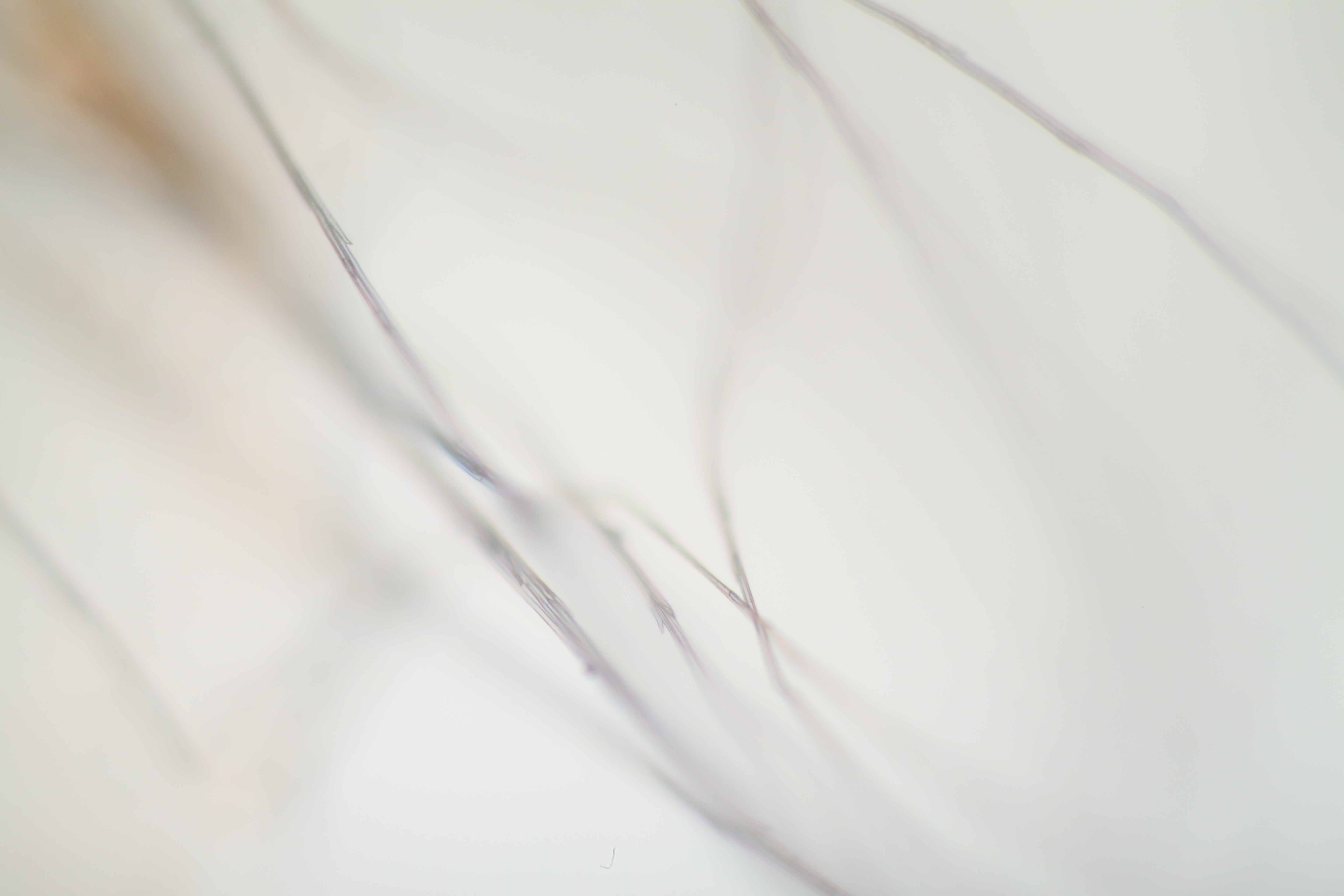 Untitled / Digital Photo