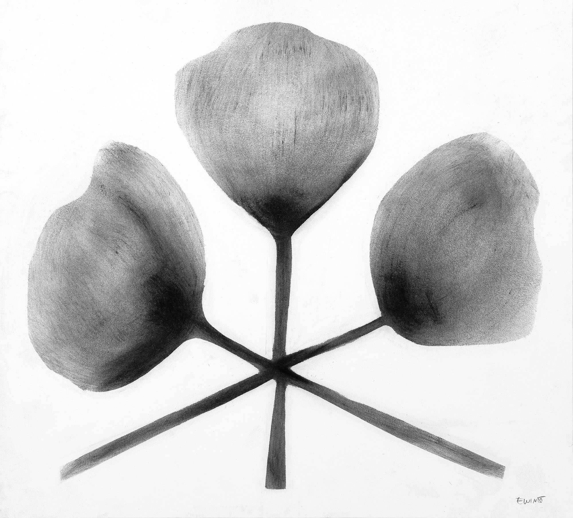 № 41 - 11 x 10" - $500