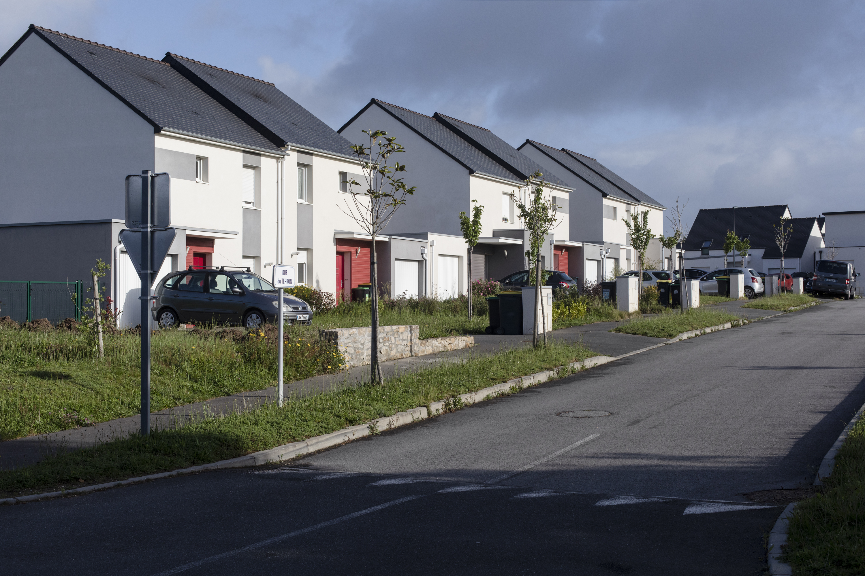 julien cregut-Lost Dogs-©juliencregut