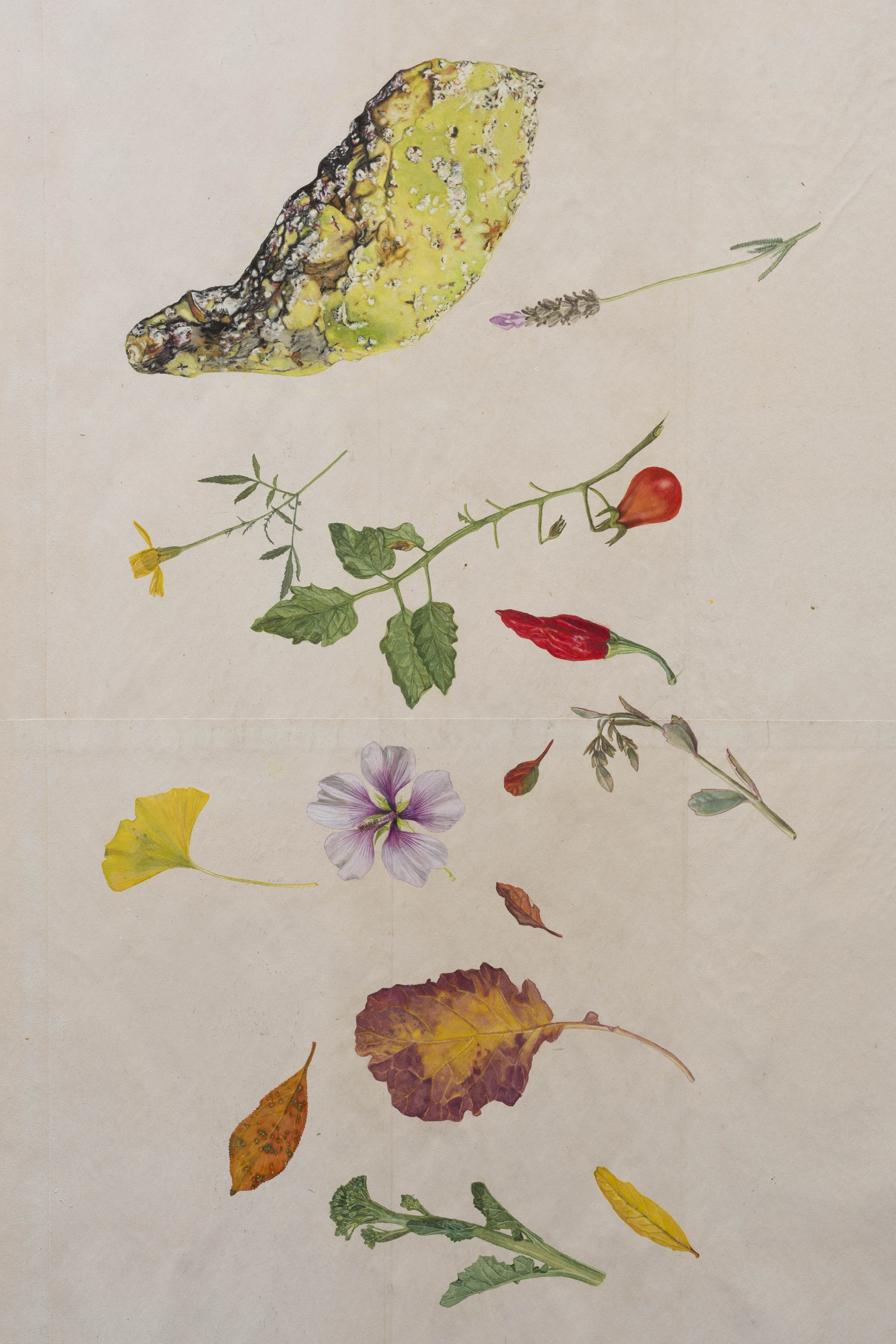 The Melancholy SpringCommonwealth & Council, March 17 - April 28, 2018