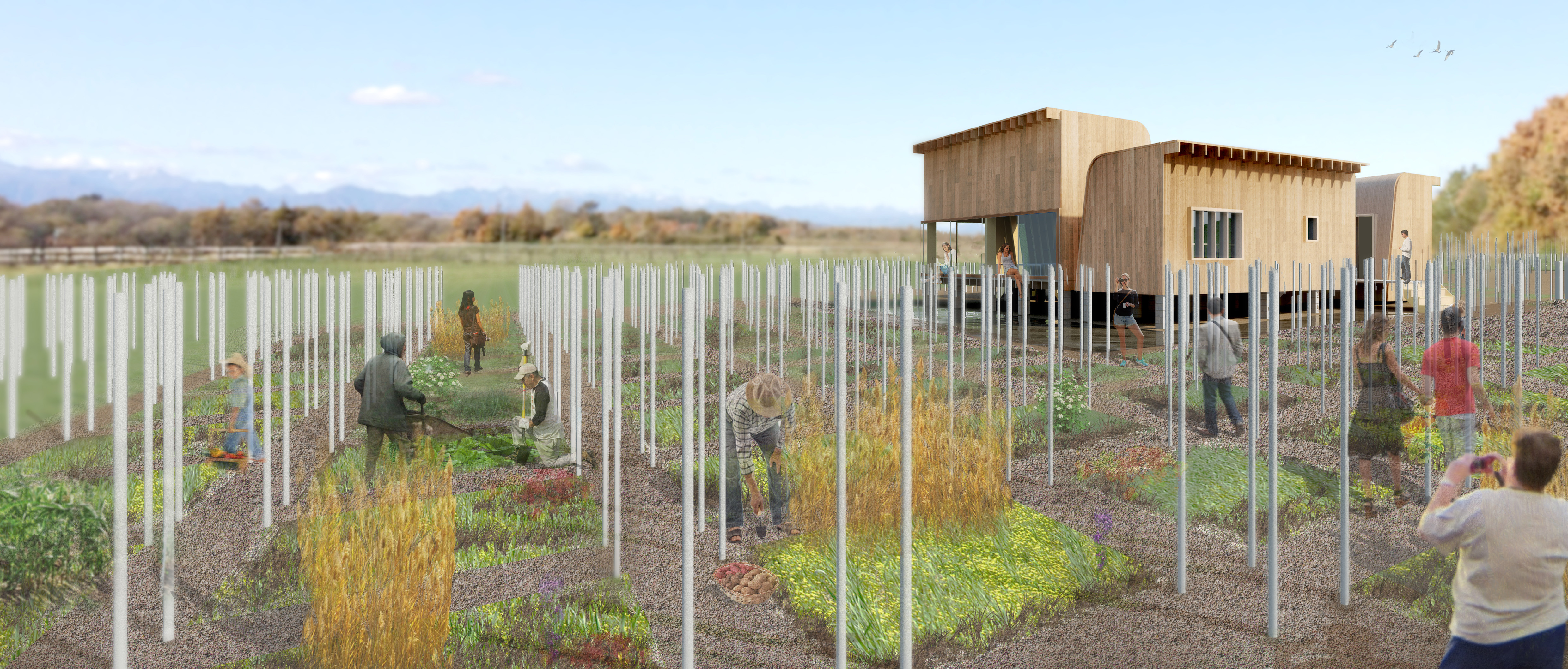 Grid Gardens  — 2014