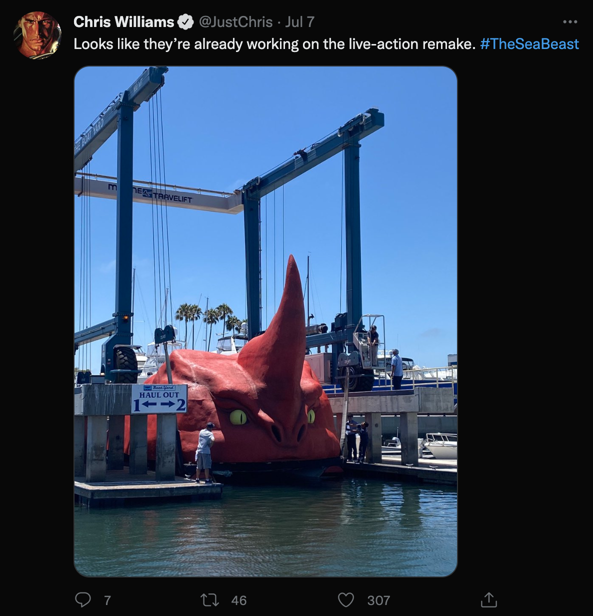 The director Chris Williams (Moana / Big Hero 6) loved the stunt and shared out many of photos we sent him!