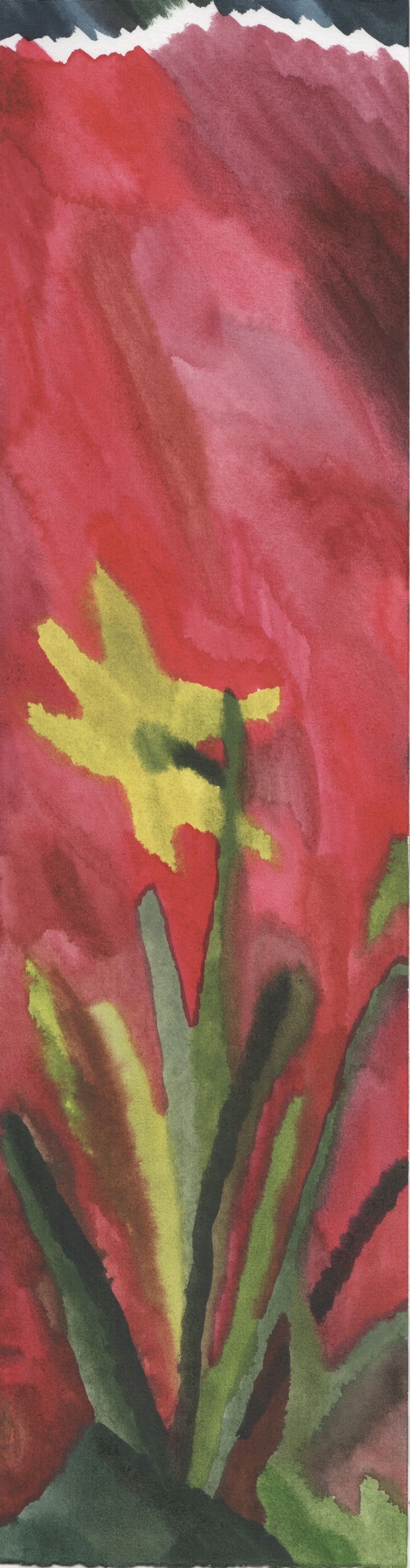 Early bloom, watercolour on paper