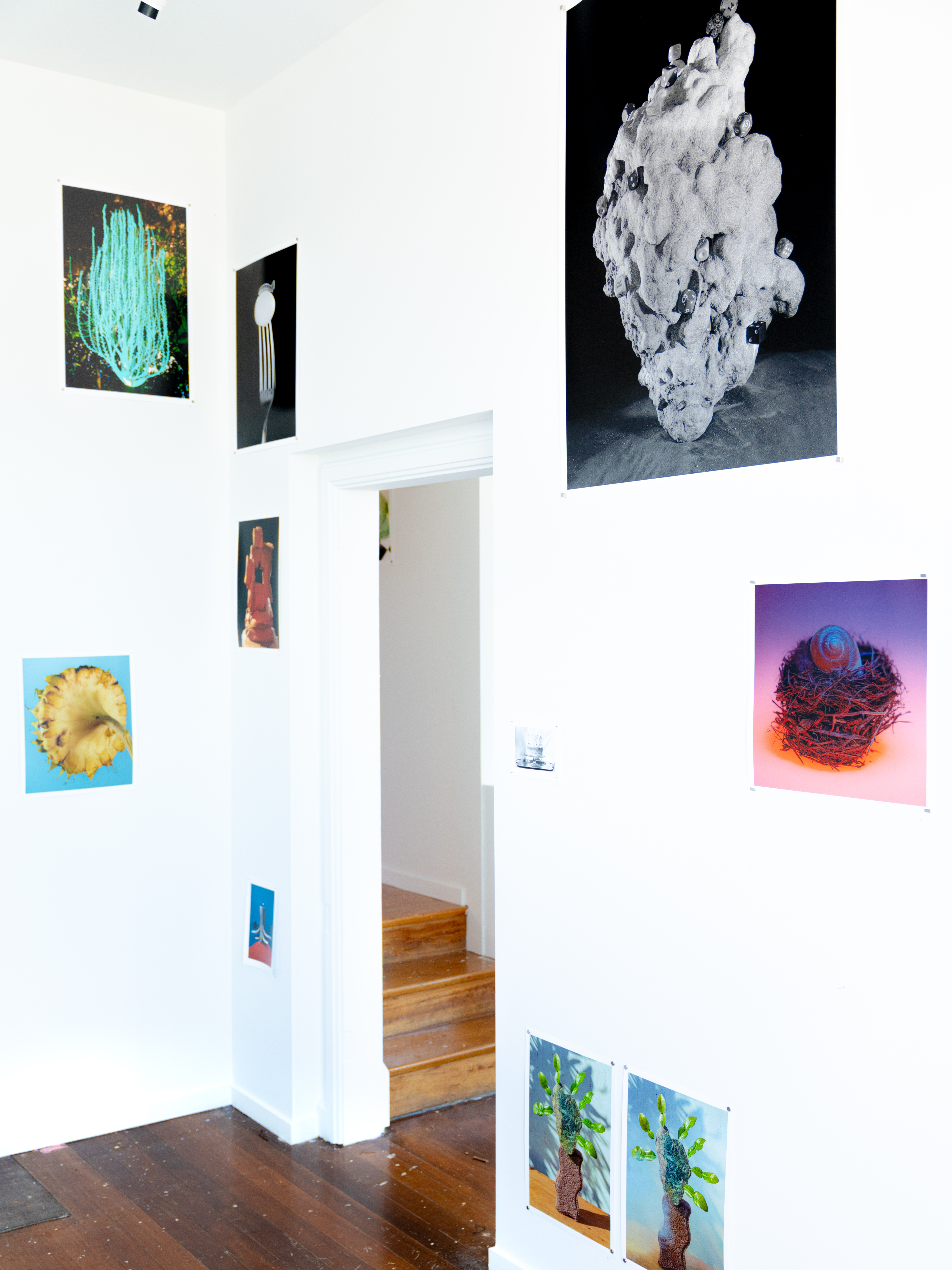 Semaphore installation view at Goodbank Gallery. Image courtesy the artist.