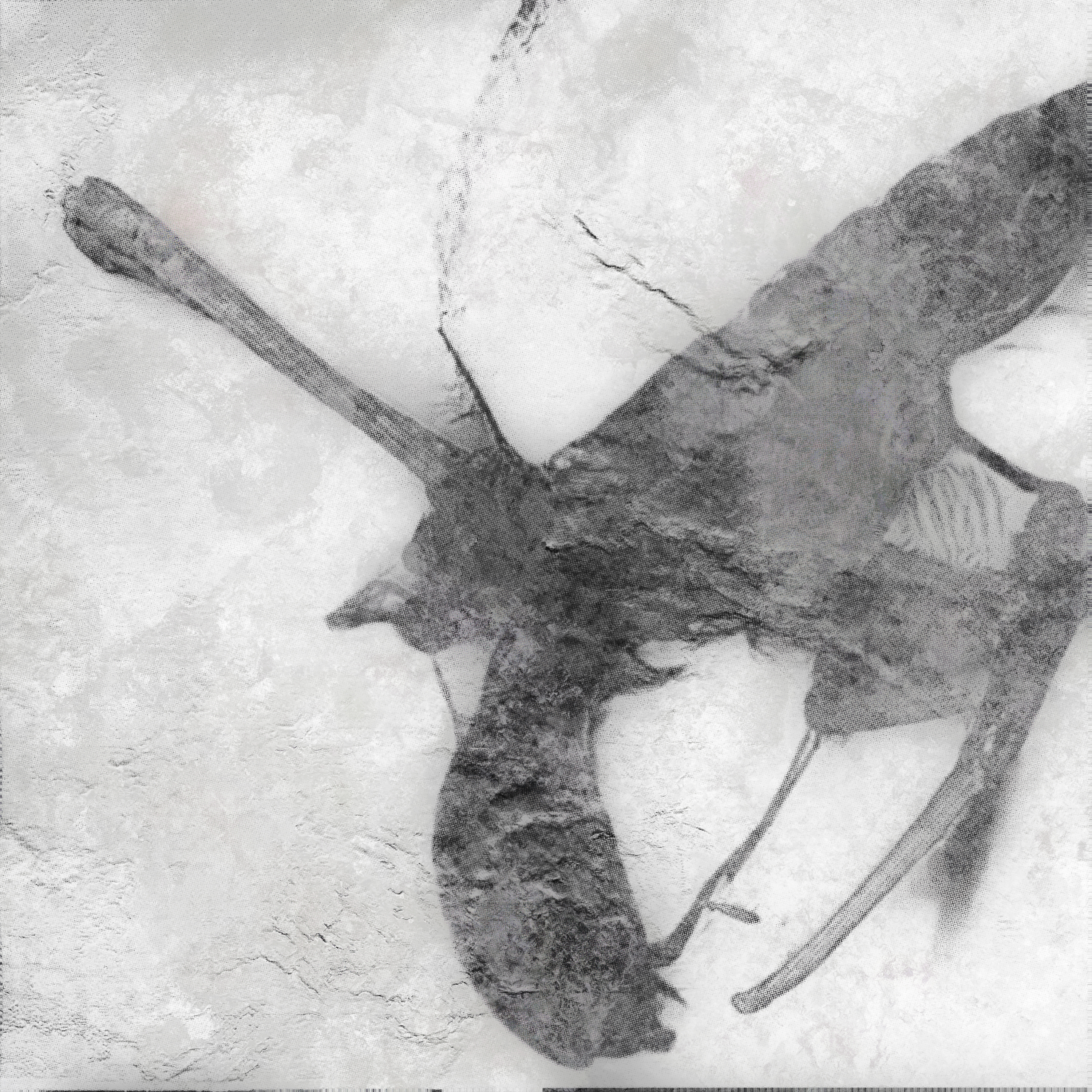 Aleph - Thau draft (2022)