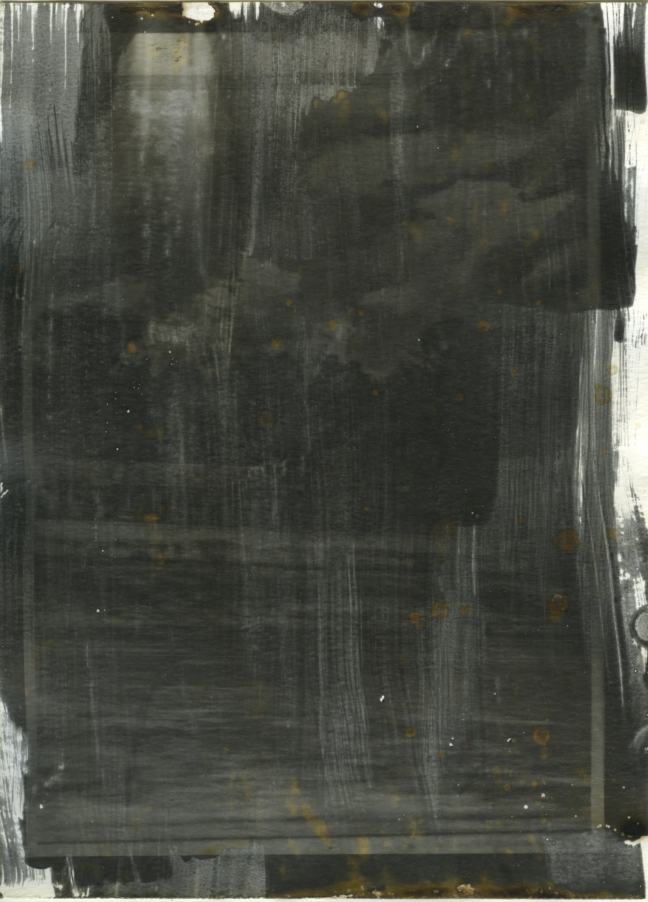 Greyhound #10 unfixed, 2016, Liquid Emulsion to Archival Pigment Print 8x10