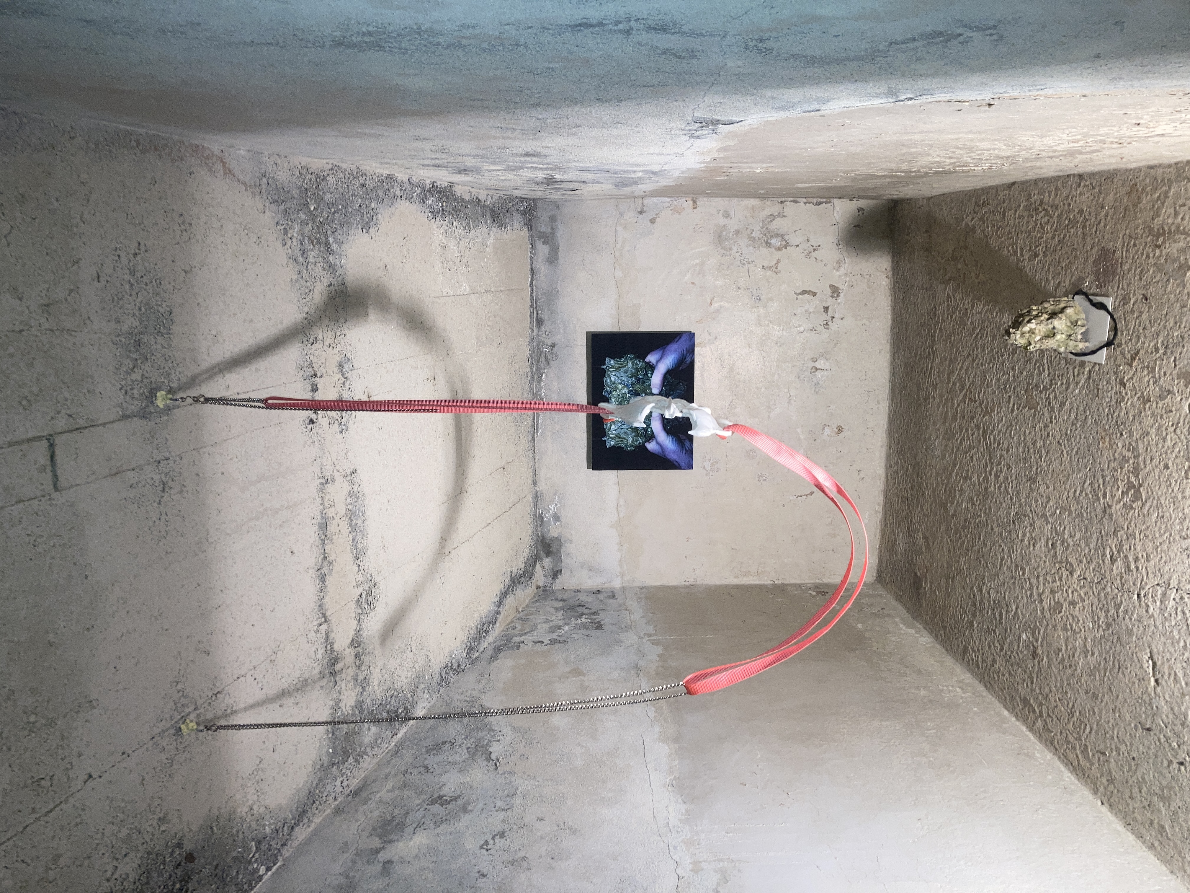 Room IV: Suggestibility