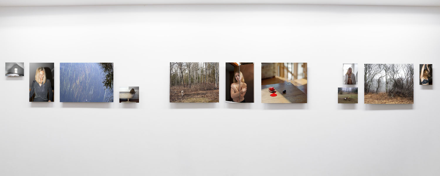 Fallen Branches Weigh More than the Trees (Installation I)archival inkjet print, 2022
