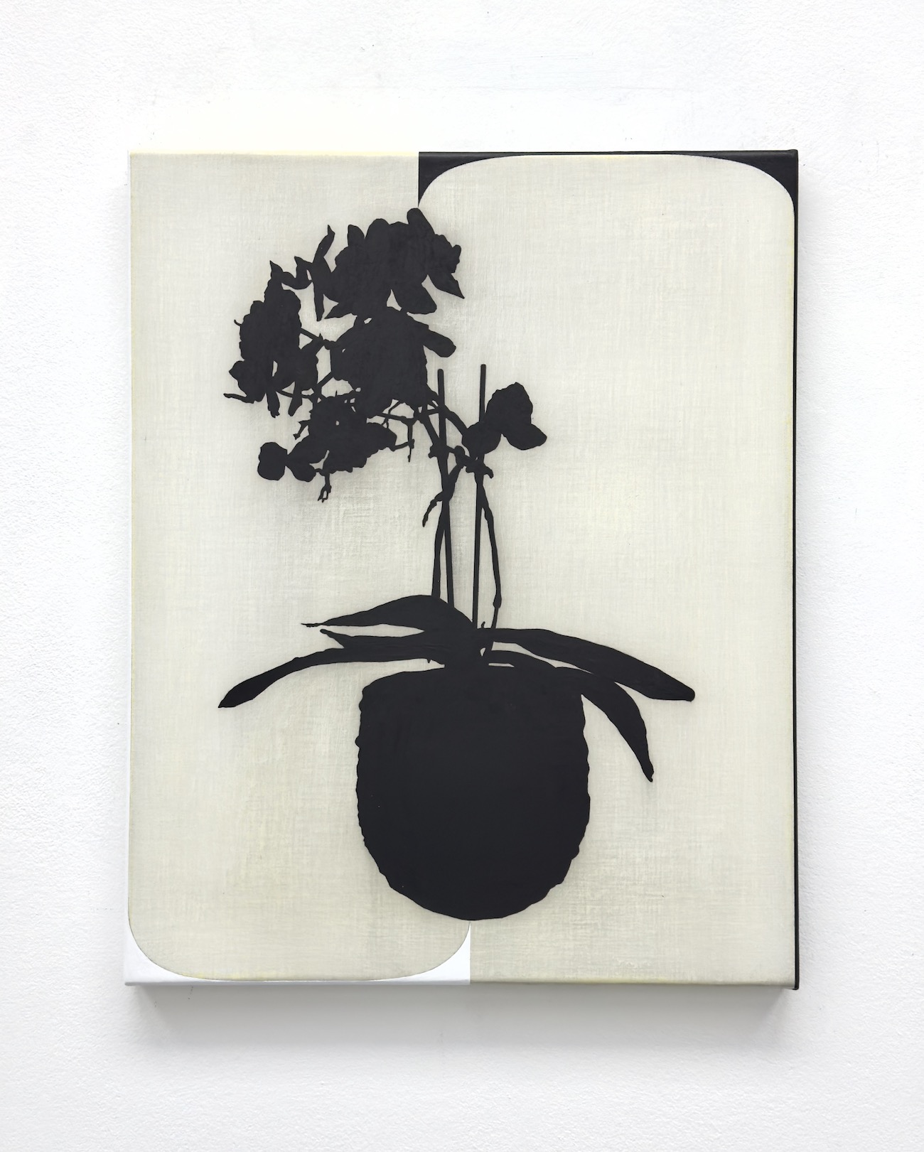 ‘Encountering an orchid, meeting a world’, 2025, (conté) pencil and acrylic on canvas, 50 x 40 cm.