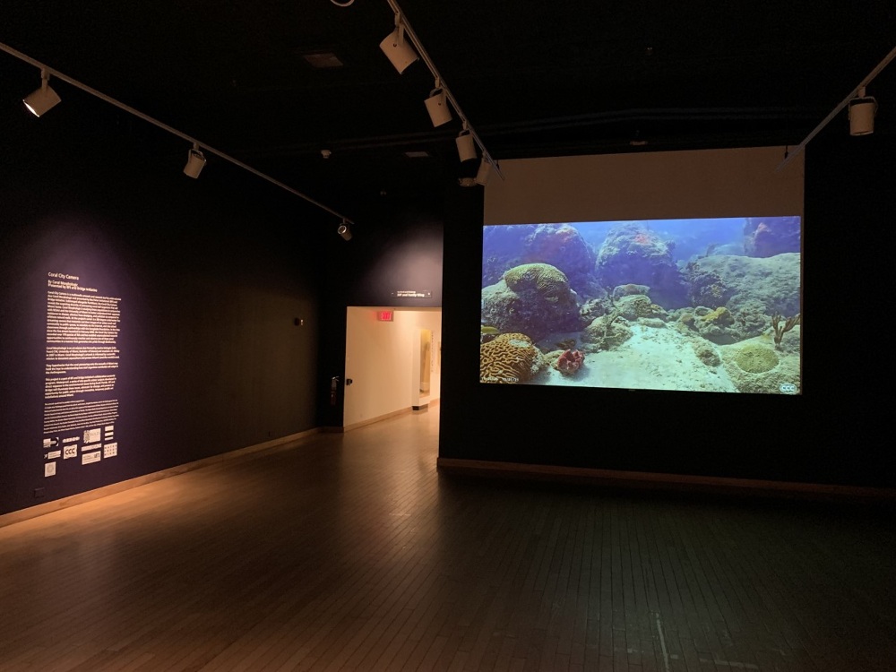 Coral City Camera at Lowe Art Museum, Jan 2022