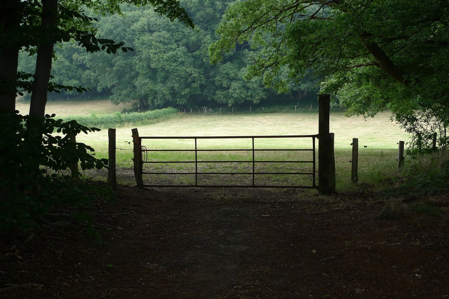 Nijmegen, July, 2015