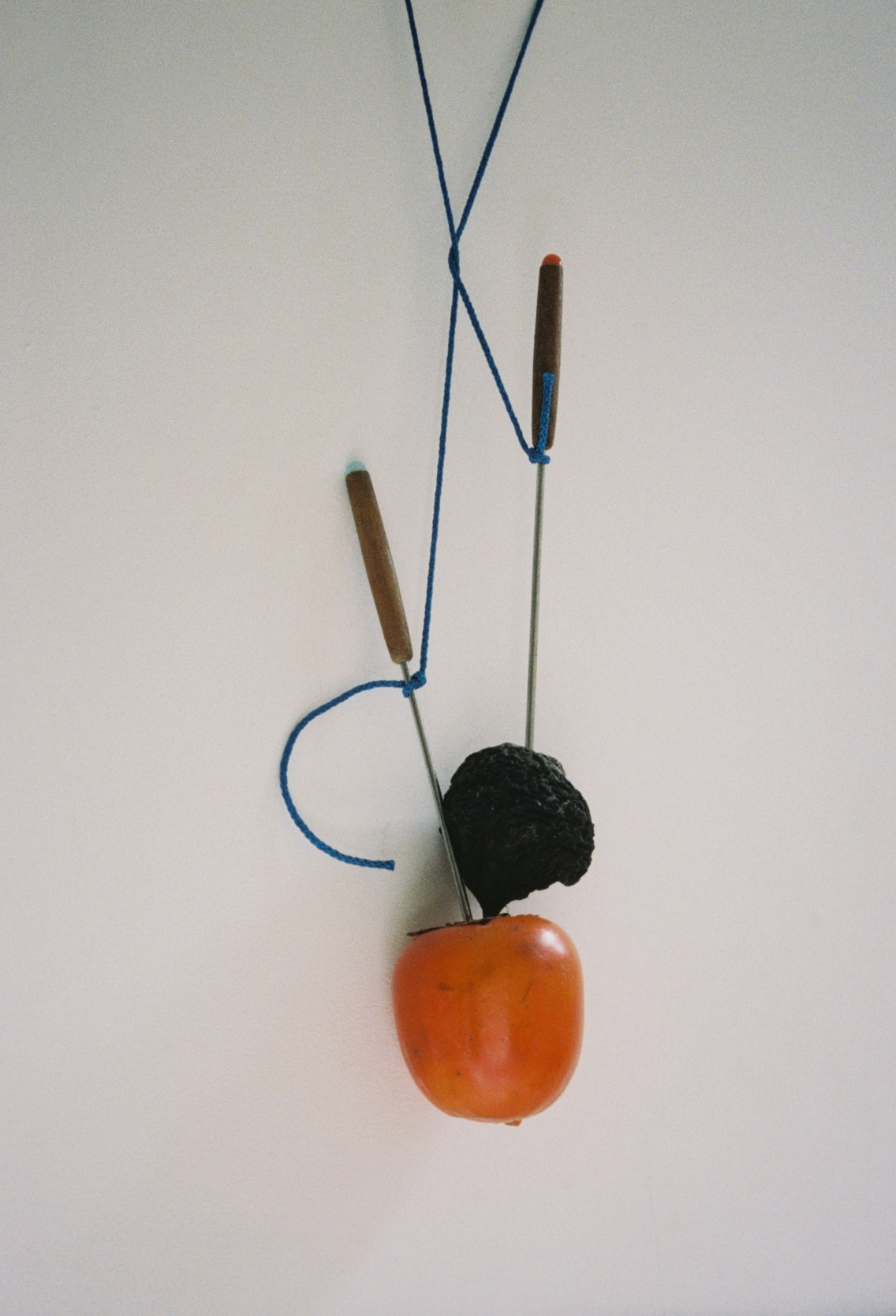 Blue String, Strange Fruit, 2018. (1/1)