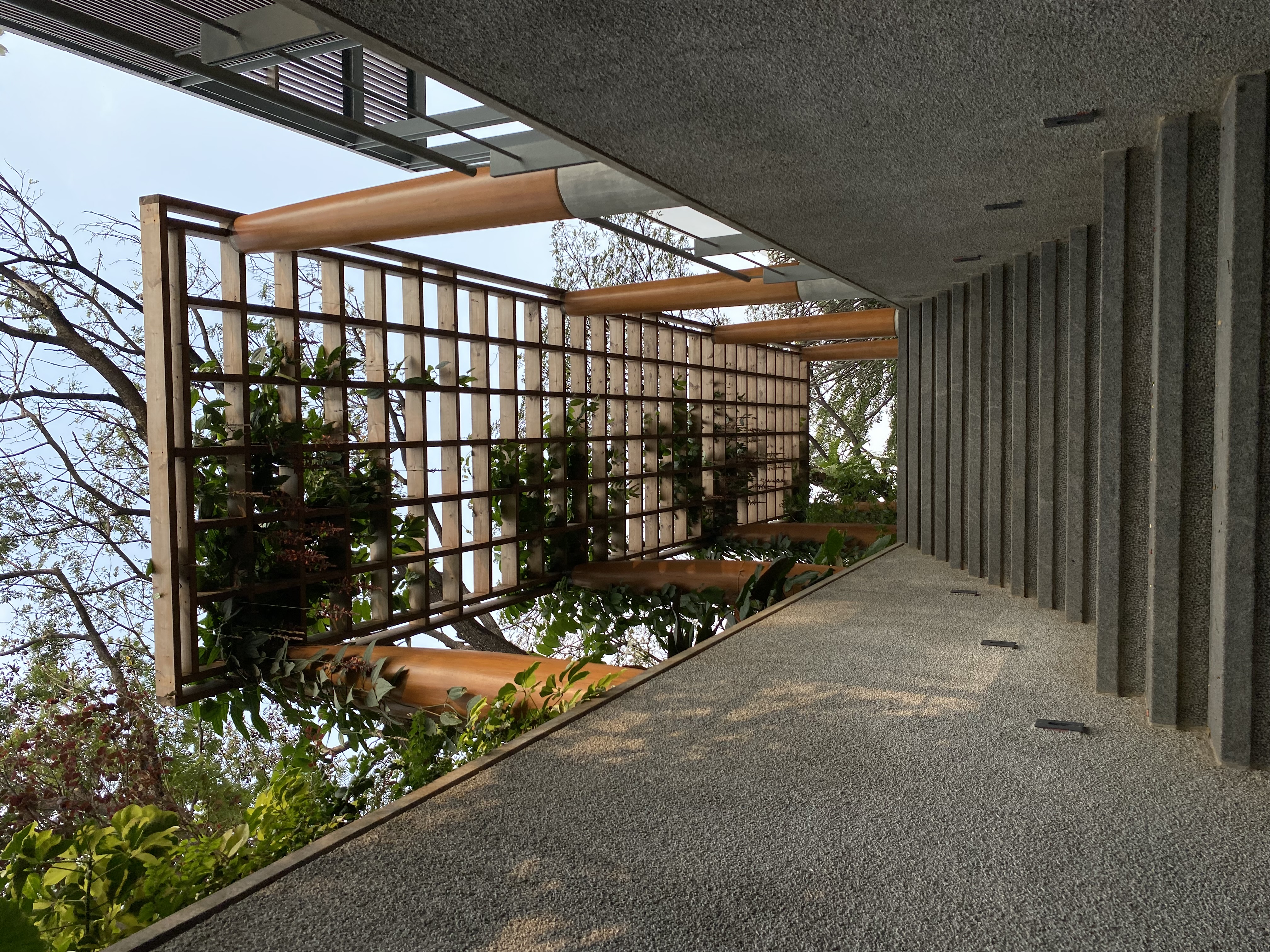 House on the Hill - Hyderabad 