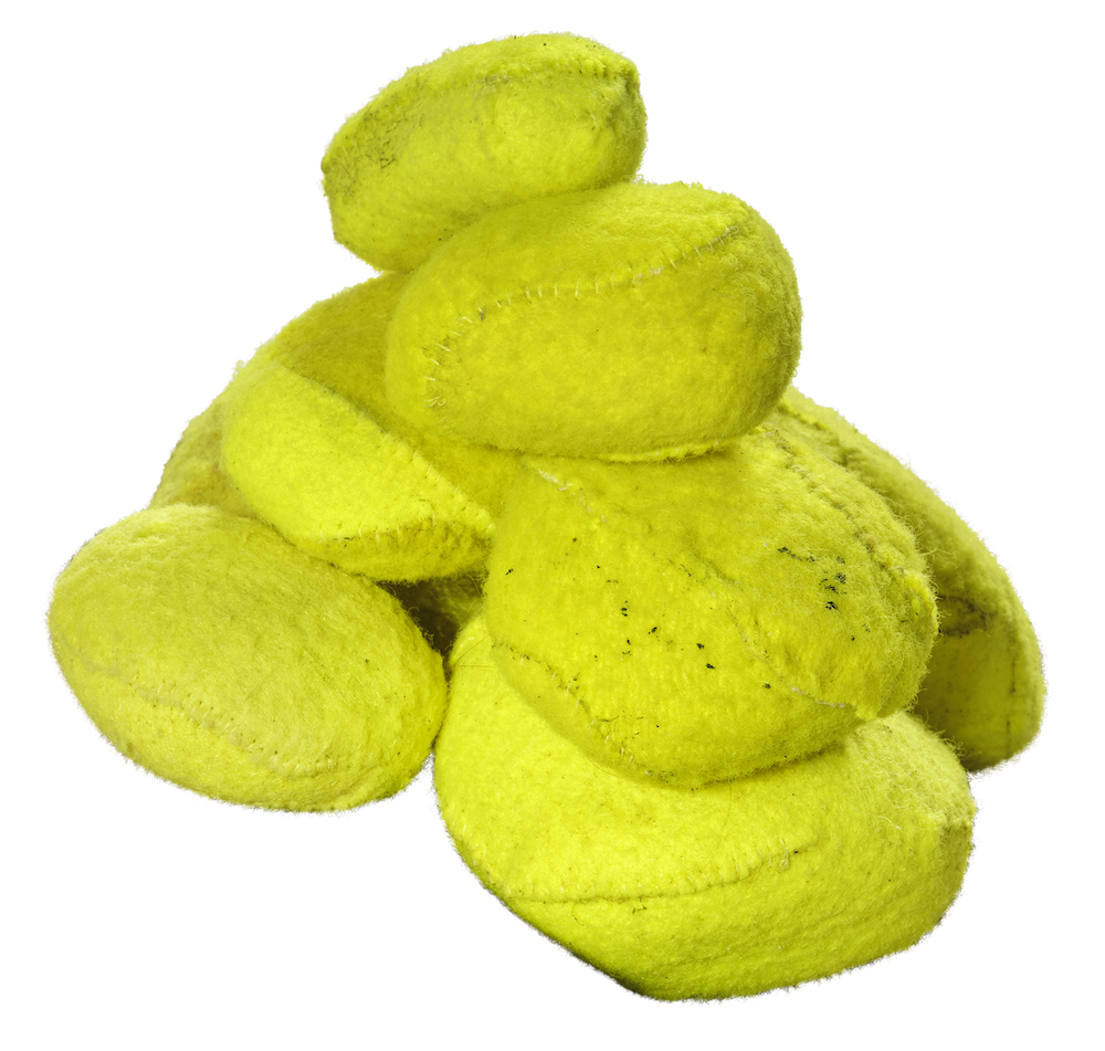 Sarah Browne: optic yellowstone