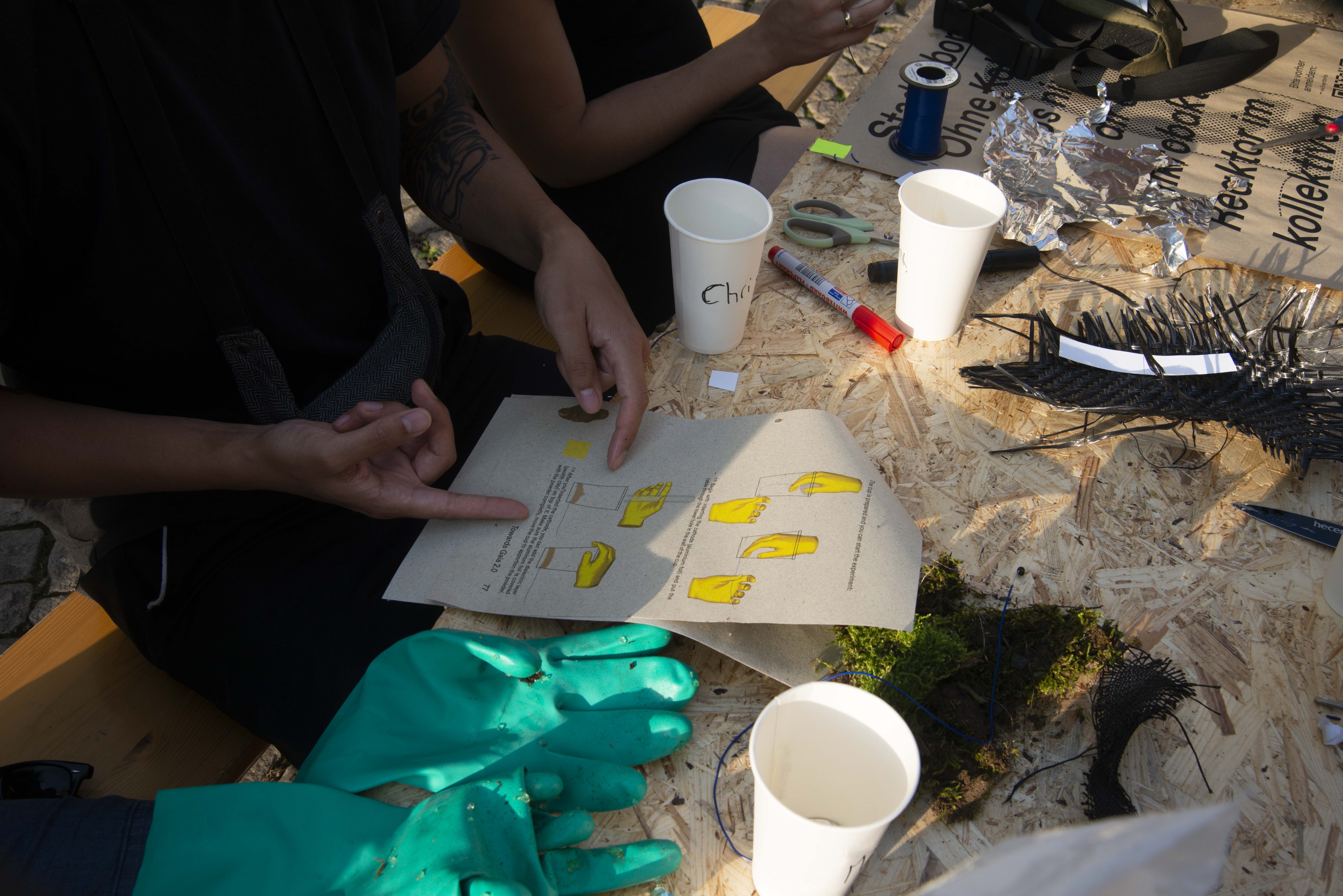 &copy; Simulated Nature