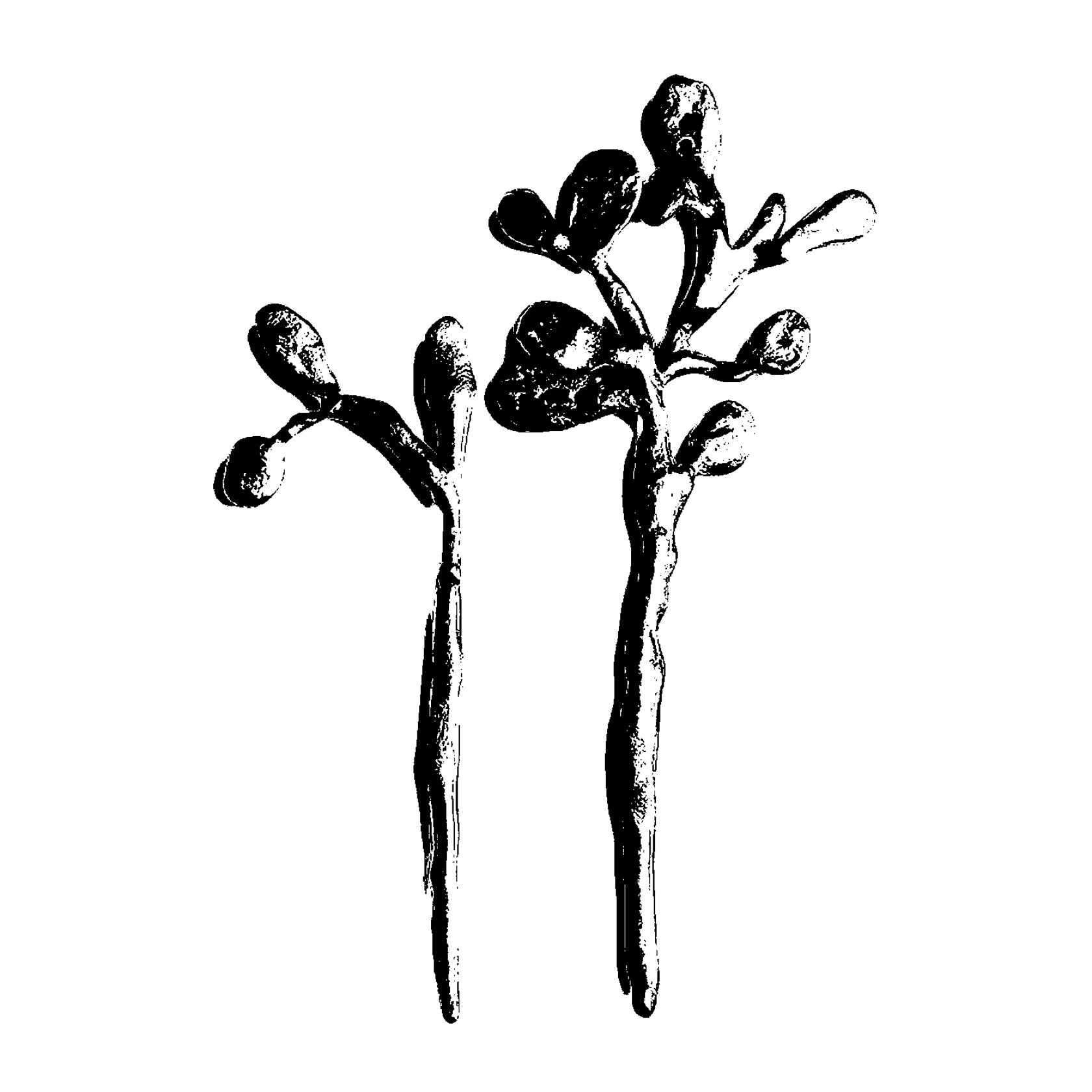 Pewter hair pins produced in collaboration with Zoe Ward, 2021