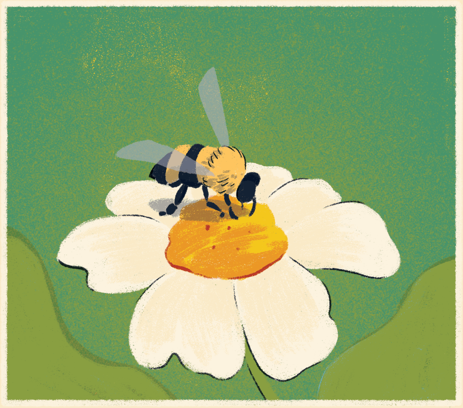 A bee pollinating a flower