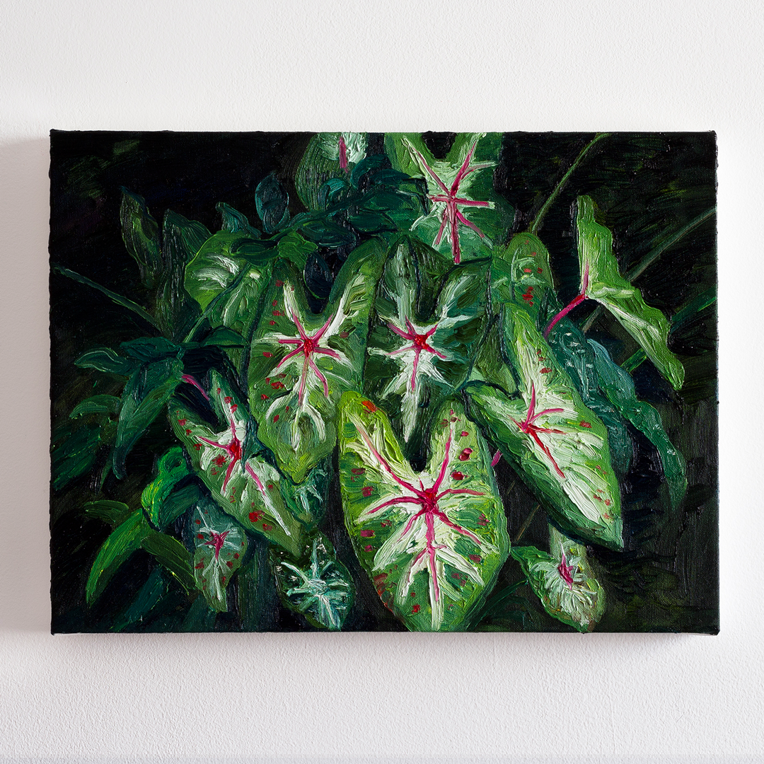 Folhagem, 2023&oacute;leo sobre tela30 x 40 cm