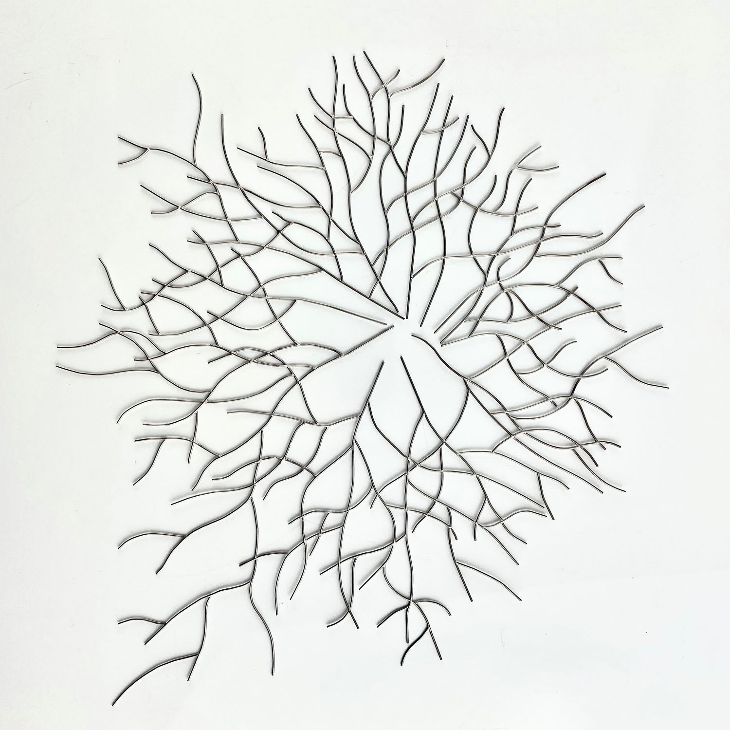 Sclerotia in progress  Nickel wire, dimensions variable, 2022 