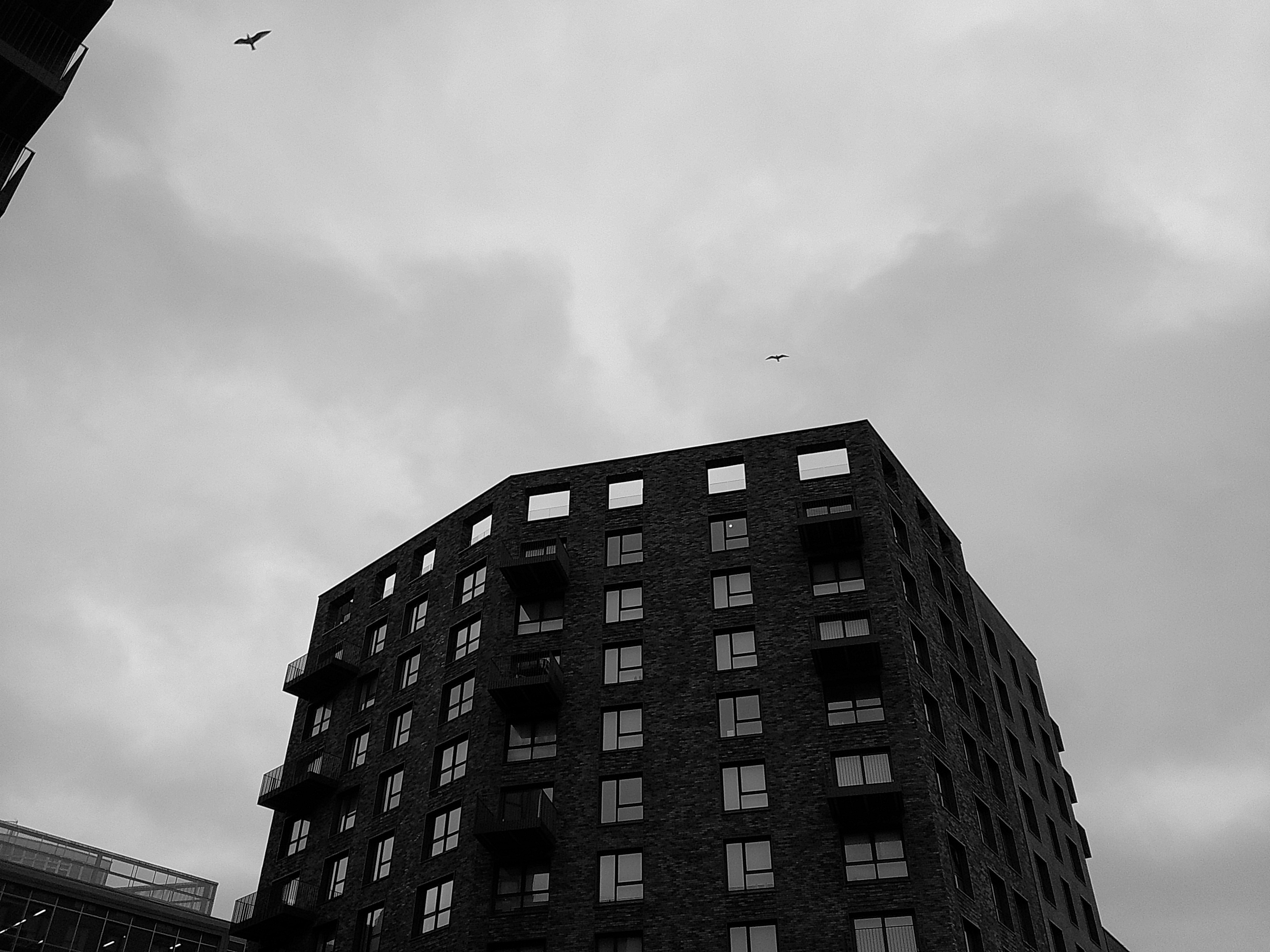 This building was making the wind sound very ominous.