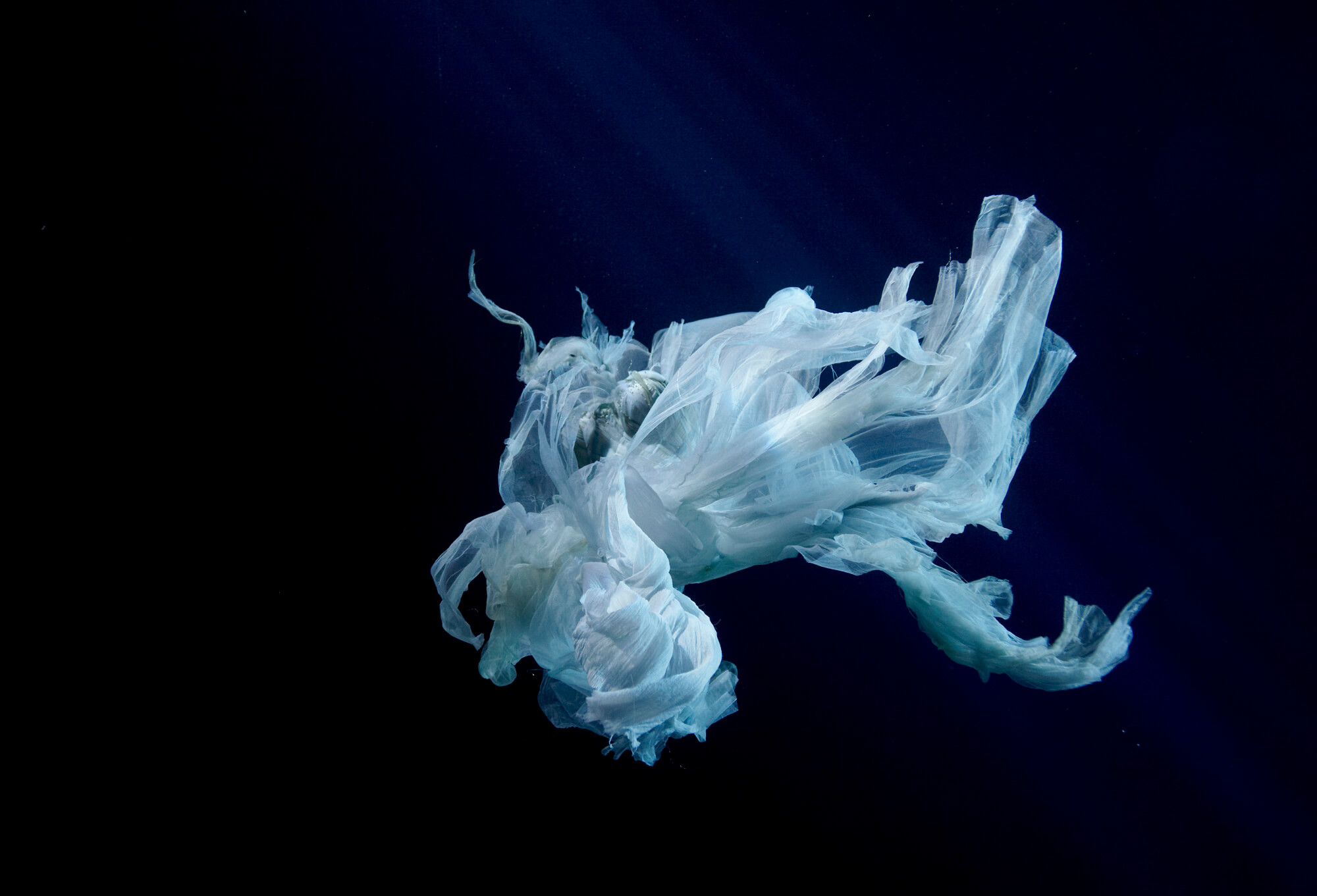 Elysian III2012C-type PhotographCollaboration with John Higginson at Pinewood Studios UKEdition of 340" x 30"