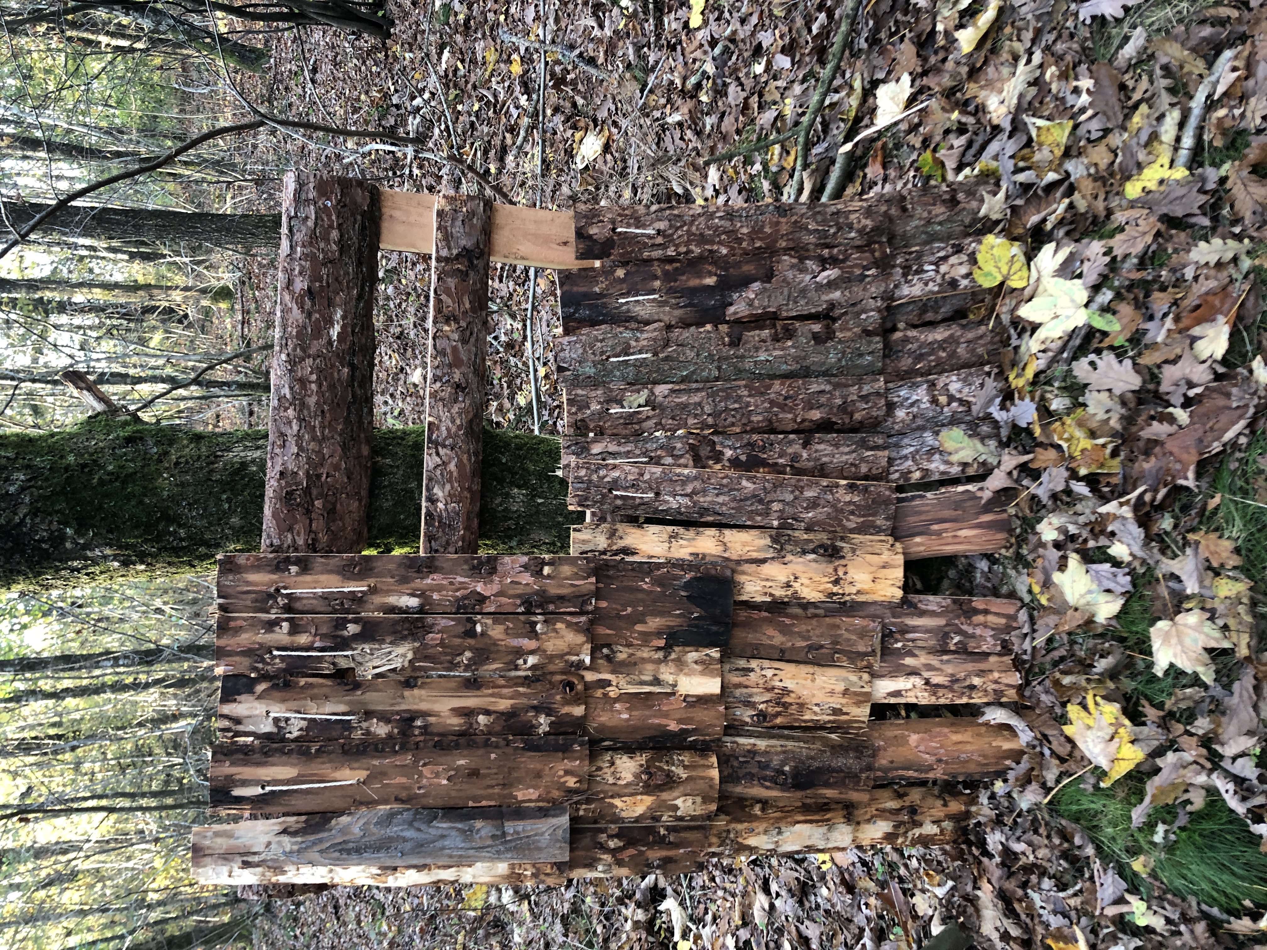 Aarhus School of Architecture Studio 2D