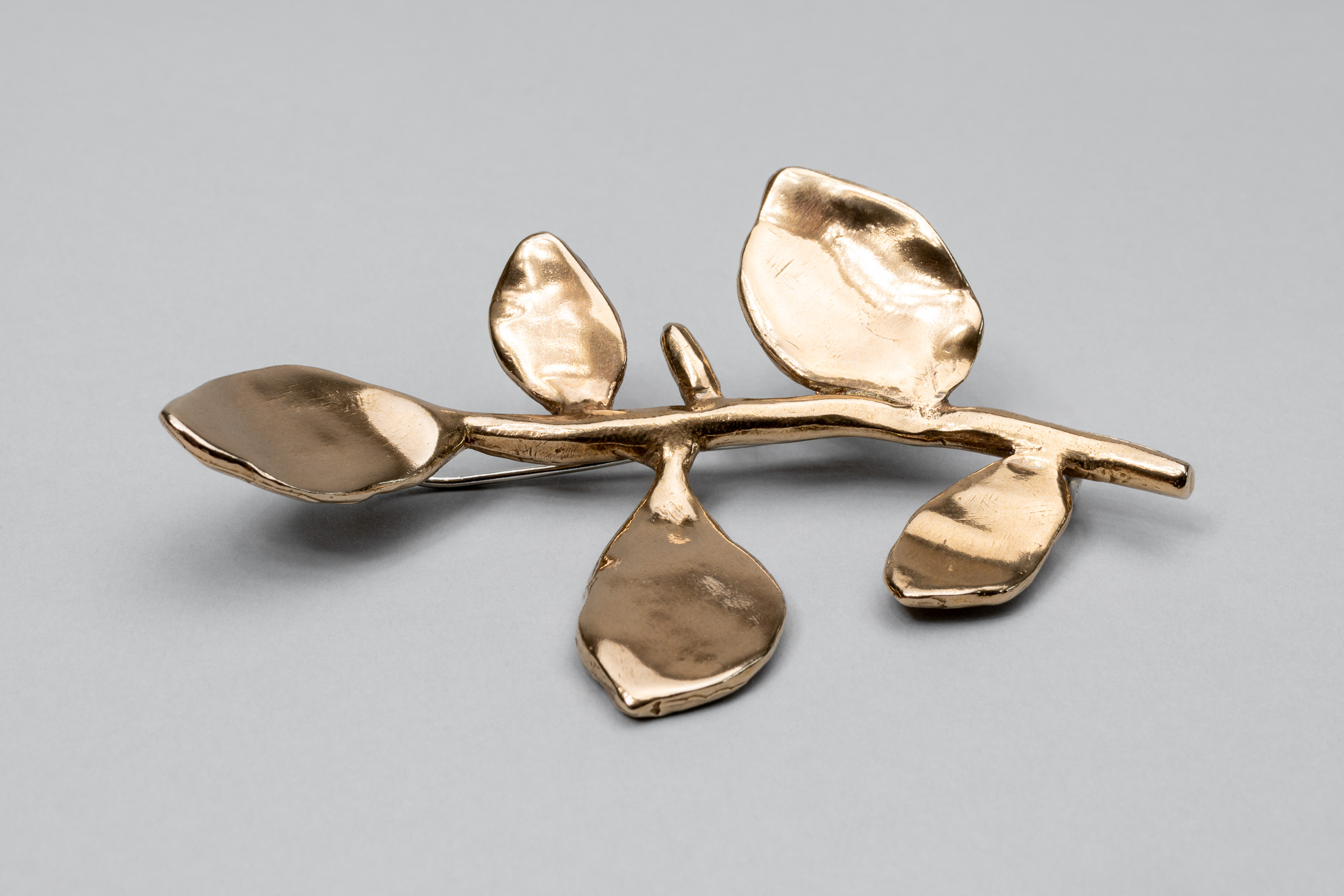 A golden bronze cast of a privet leaf stem with silver brooch pin.