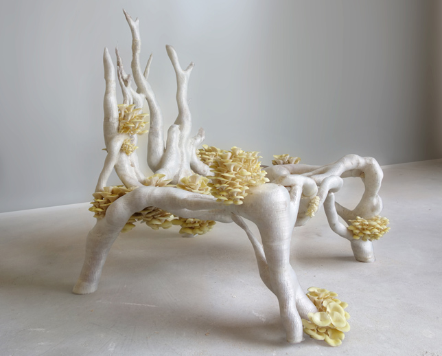 Eric Klarenbeek: Mycelium Chair